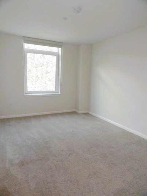 1008 Massachusetts Ave, Harvard Square