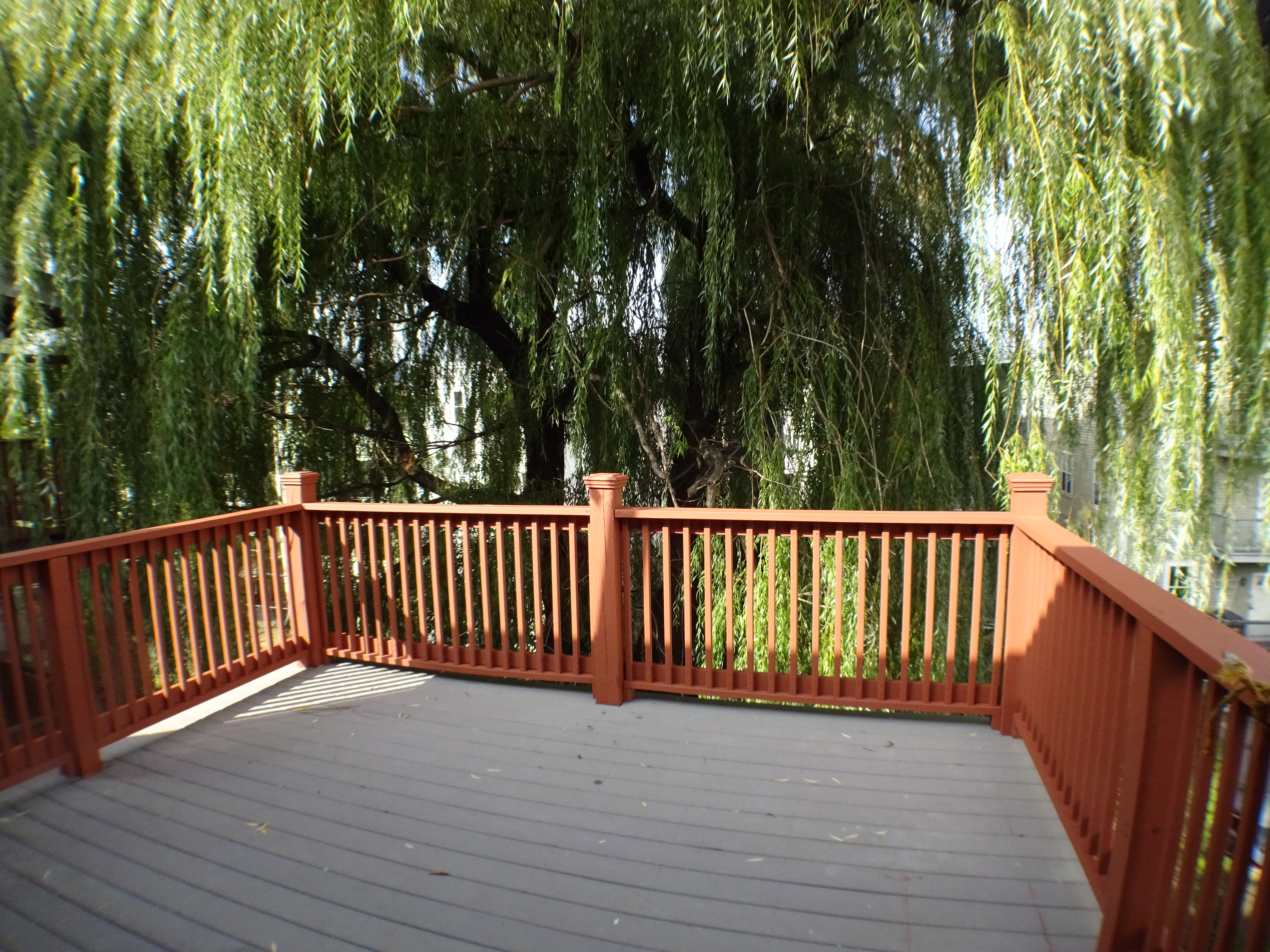 11 Bellflower St, Dorchester