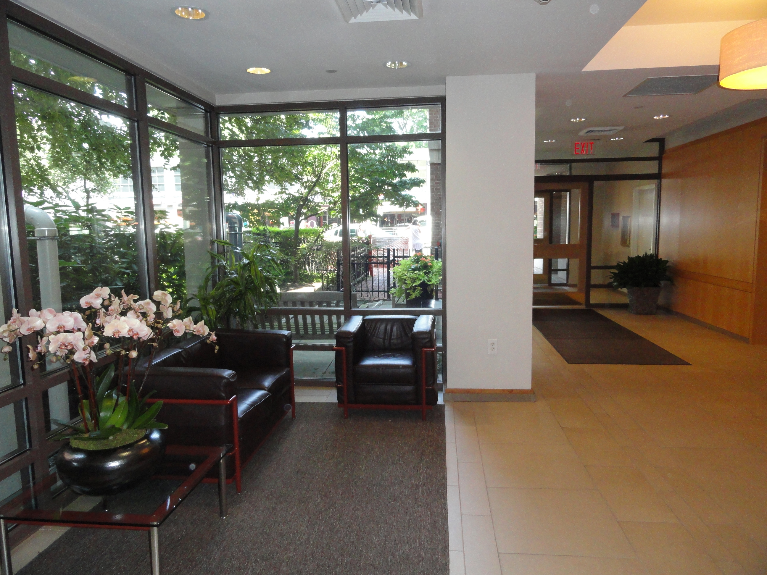 1008 Massachusetts Ave, Harvard Square