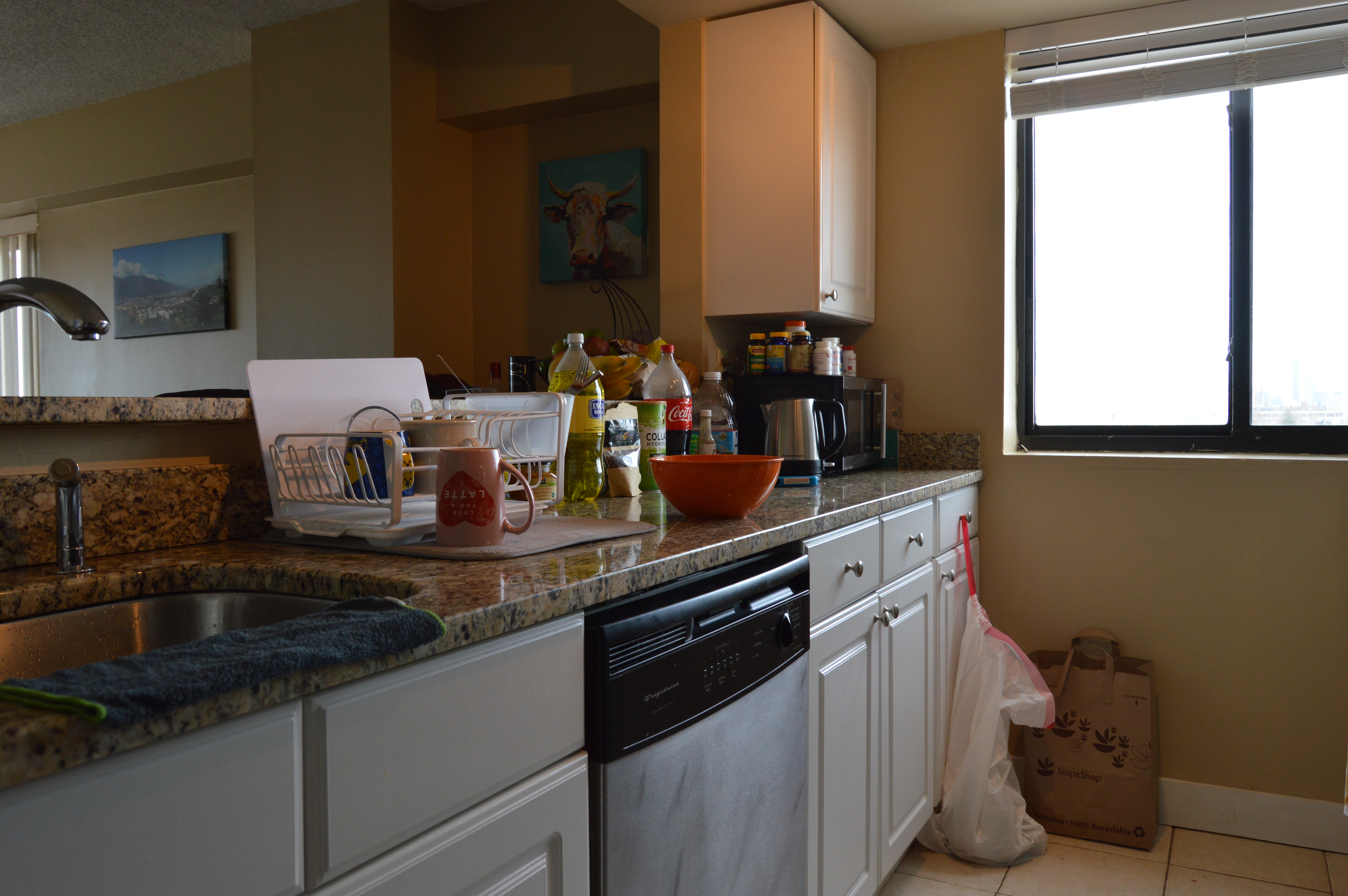 19 Nottinghill, Brighton