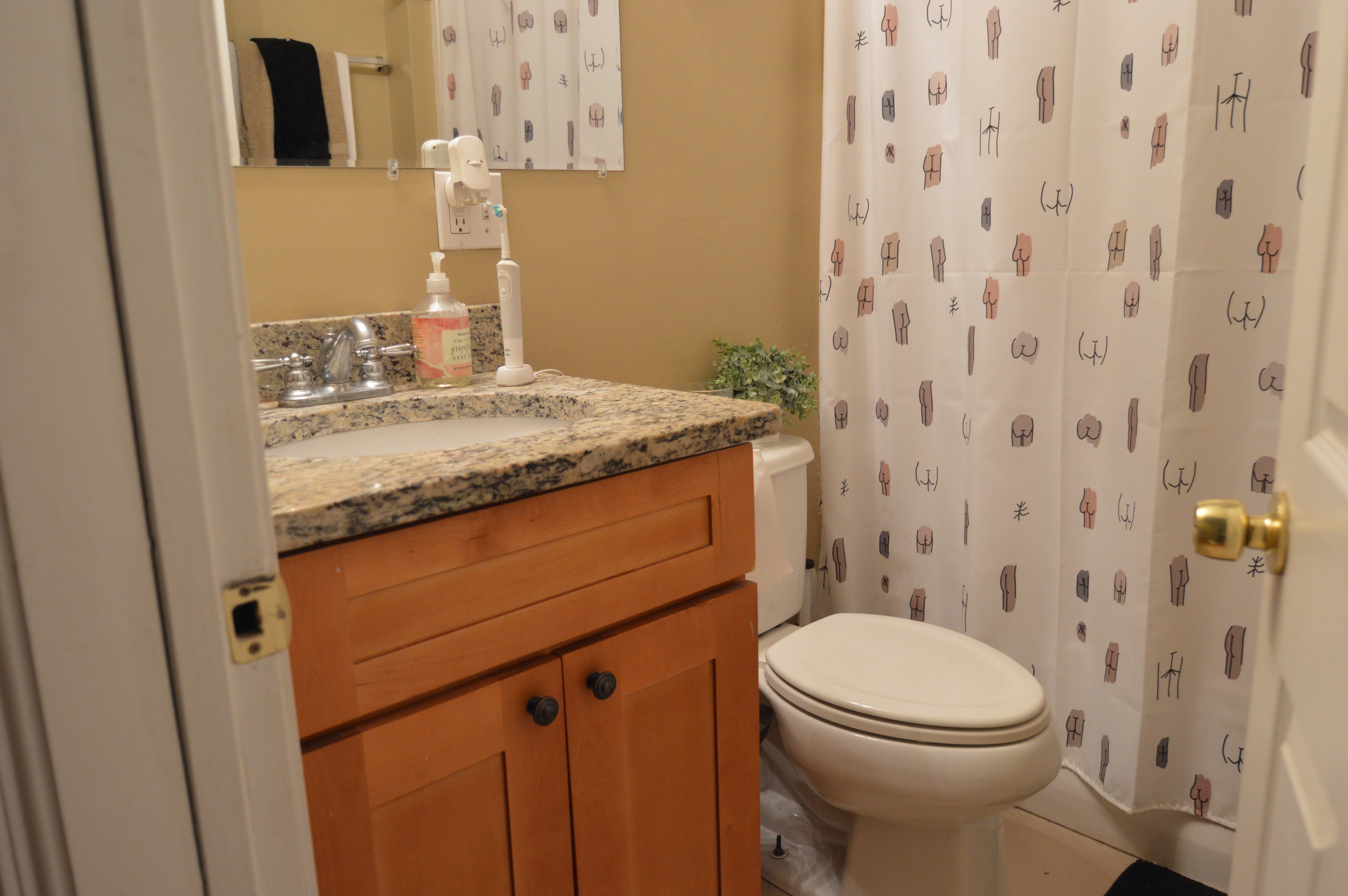 322 Saint Paul St, Brookline Village