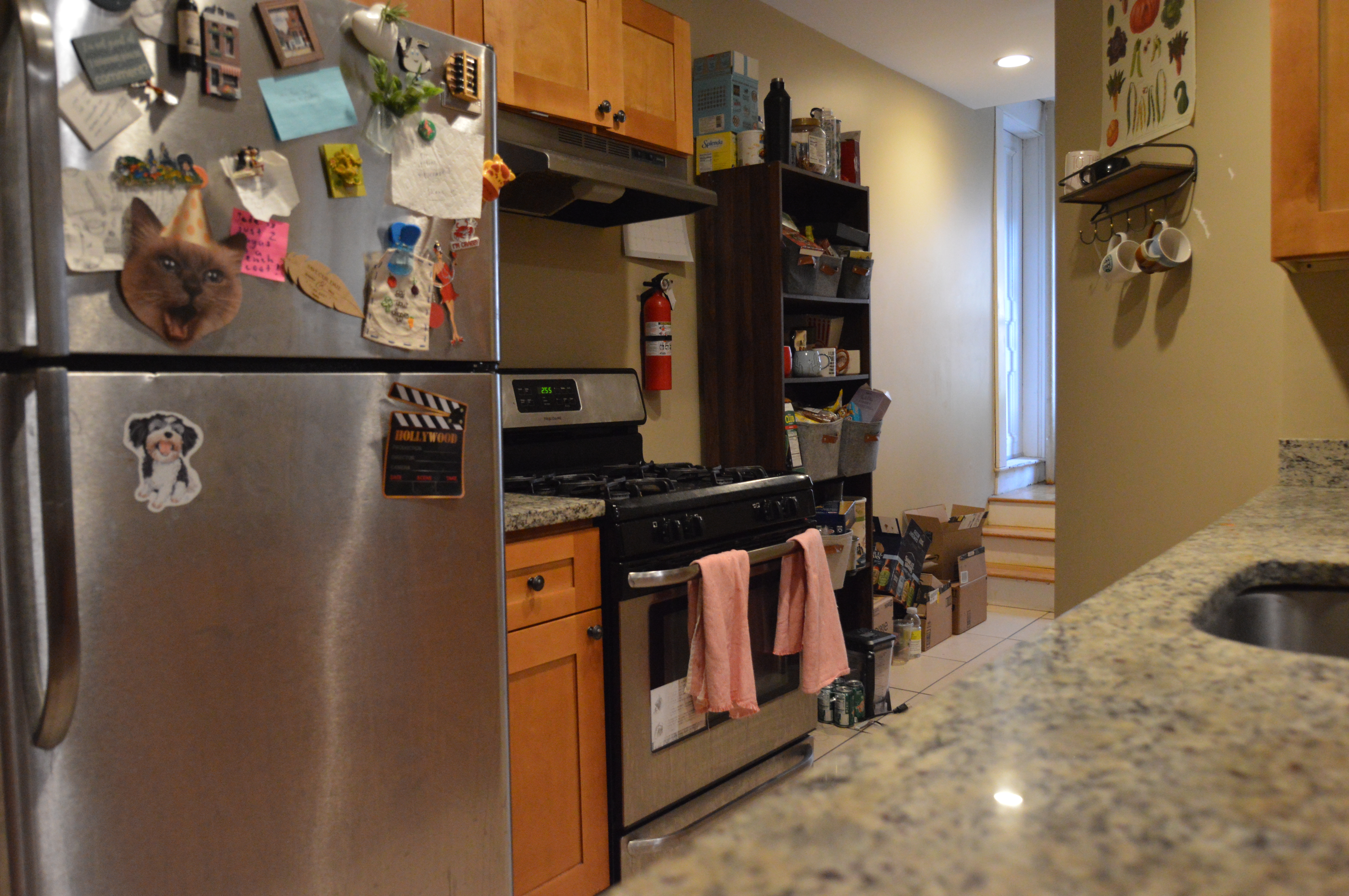 322 Saint Paul St, Brookline Village