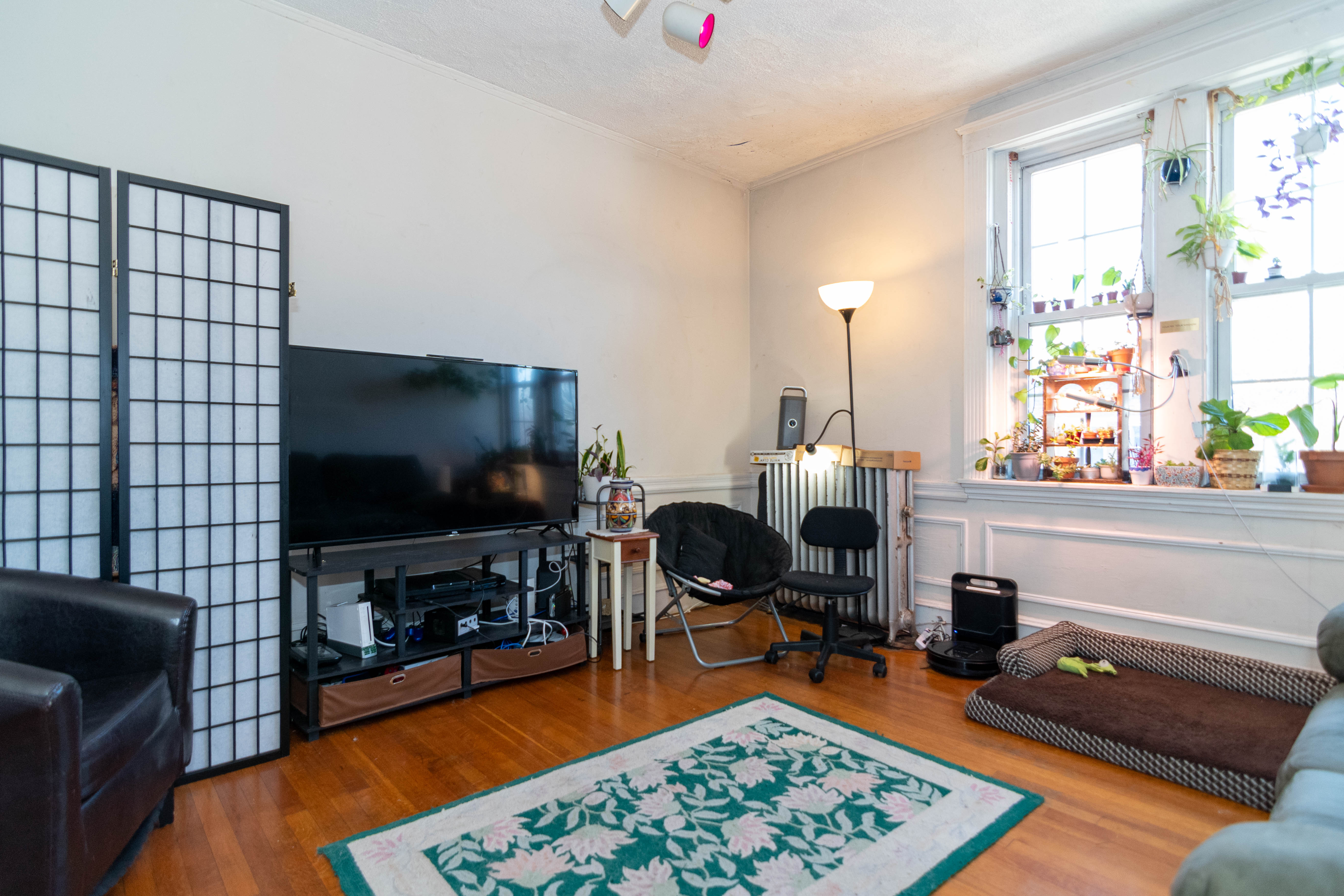 316 Saint Paul St, Coolidge Corner