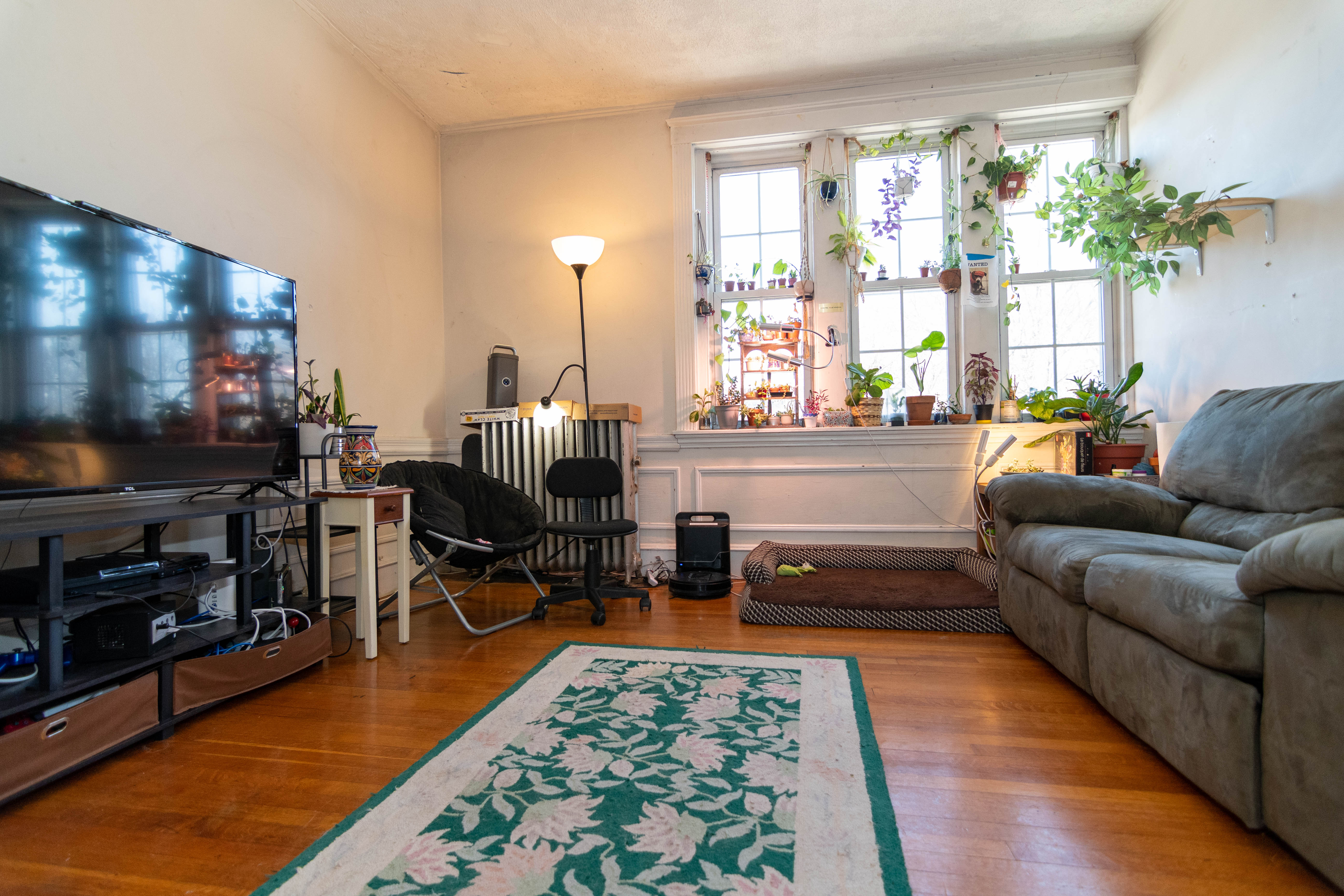 316 Saint Paul St, Coolidge Corner