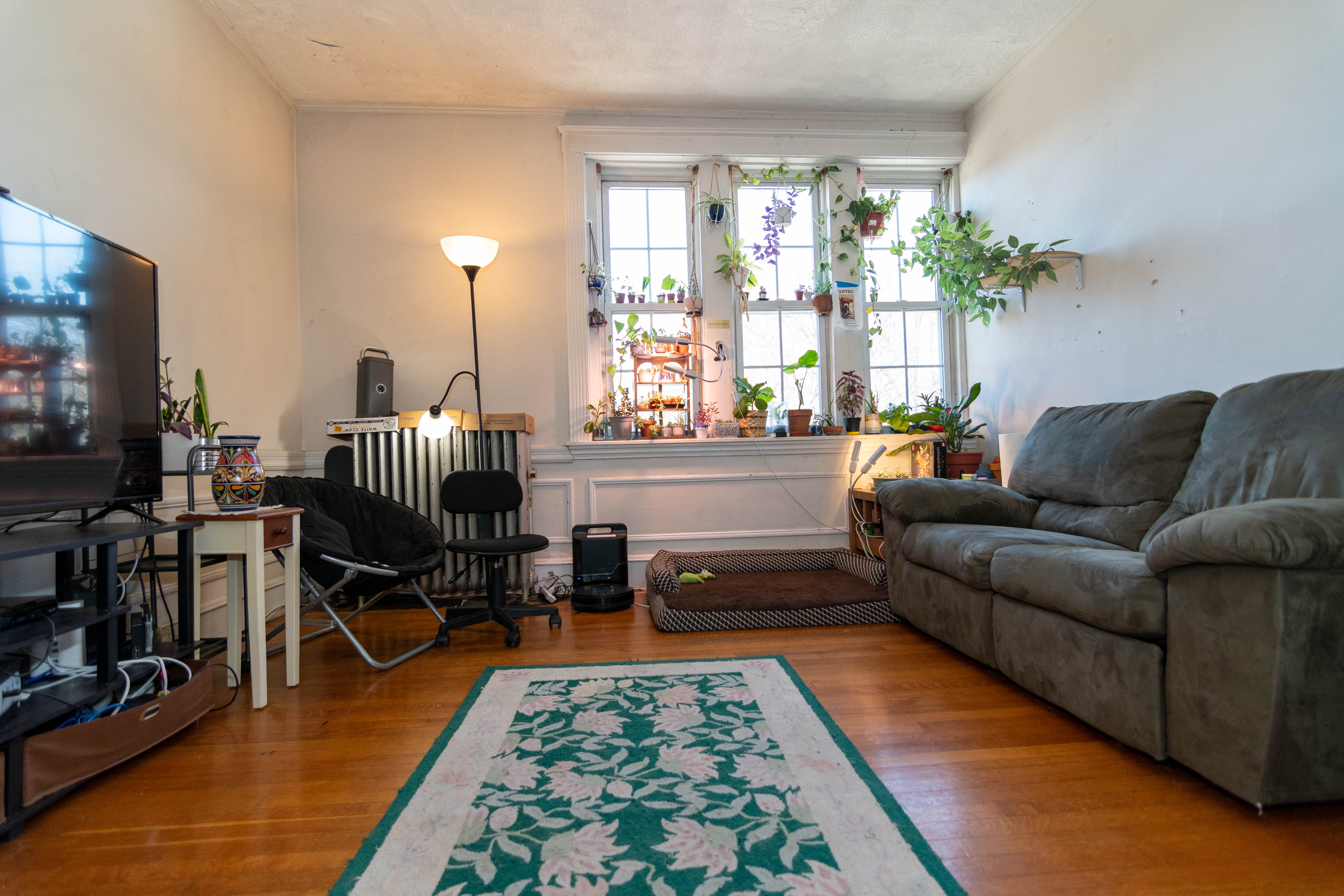 316 Saint Paul St, Coolidge Corner