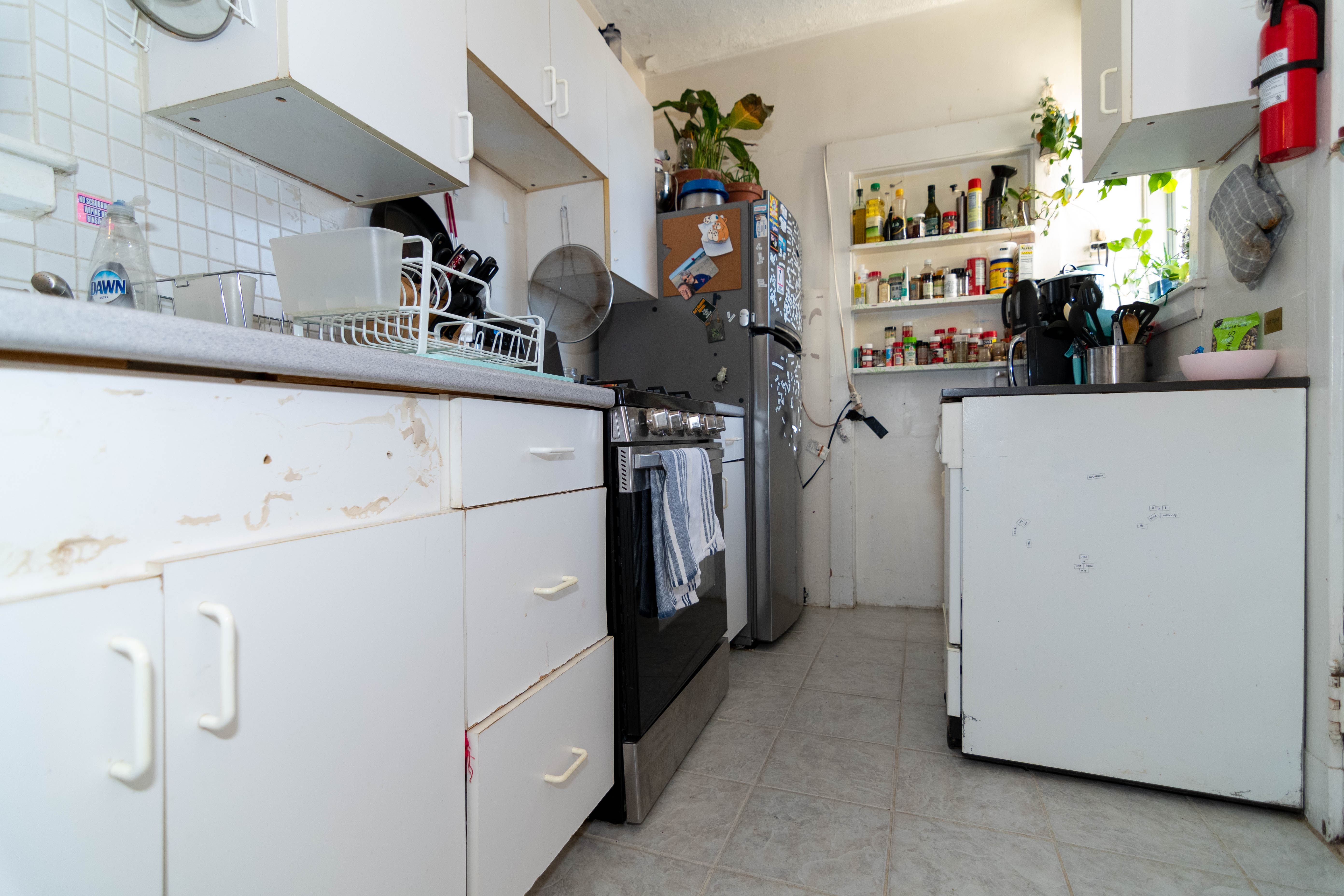 316 Saint Paul St, Coolidge Corner