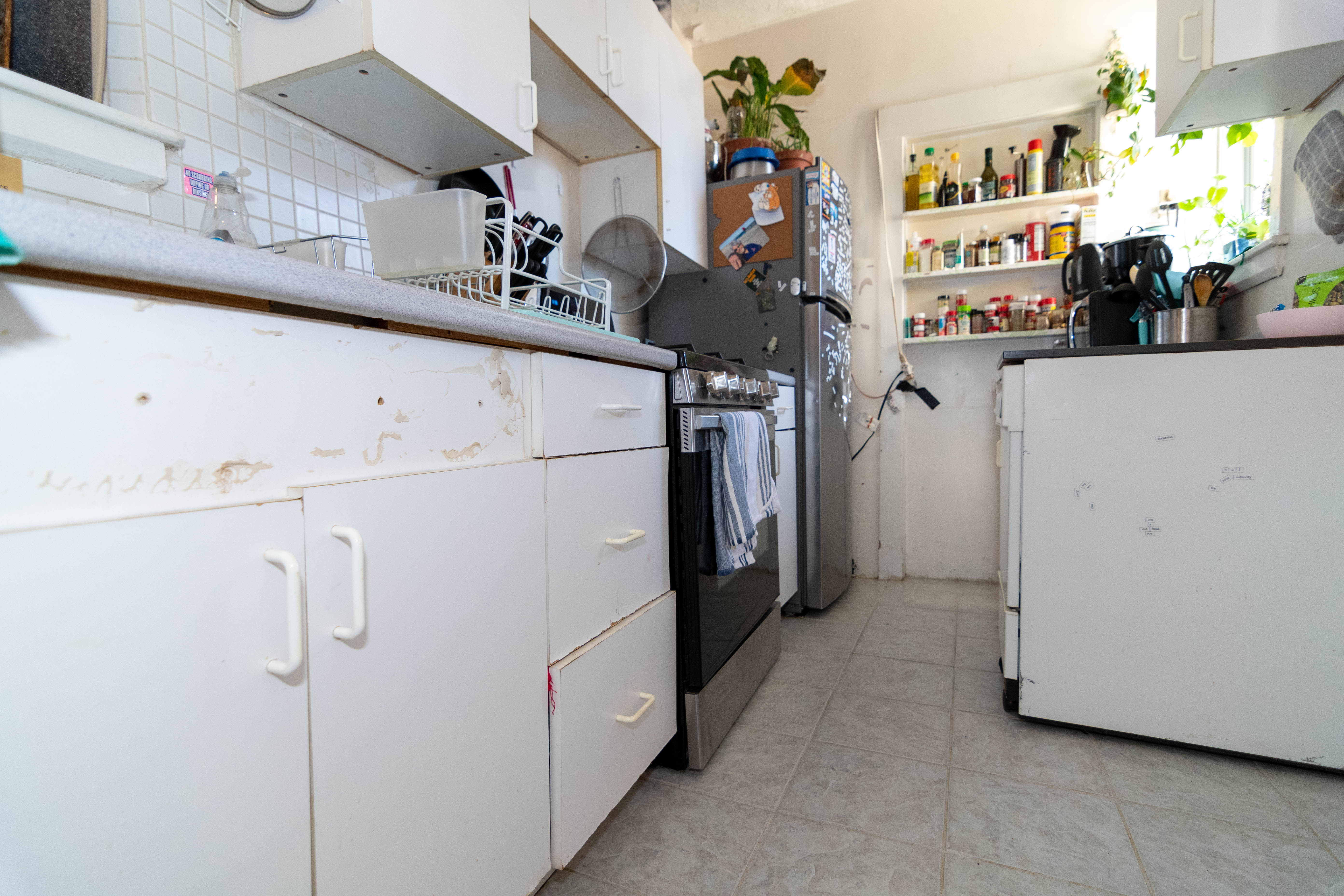 316 Saint Paul St, Coolidge Corner