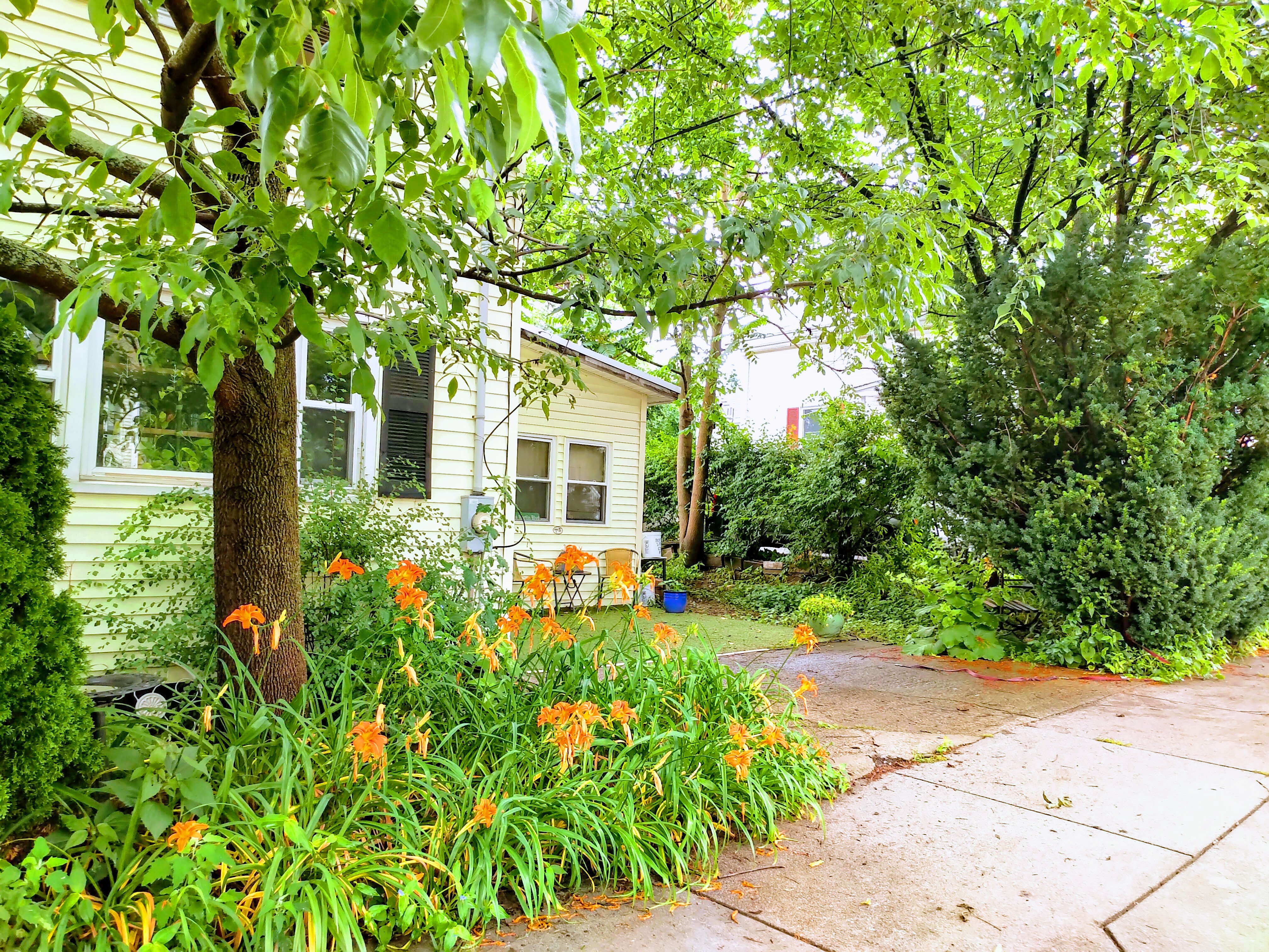 85 Gardner St, Newton