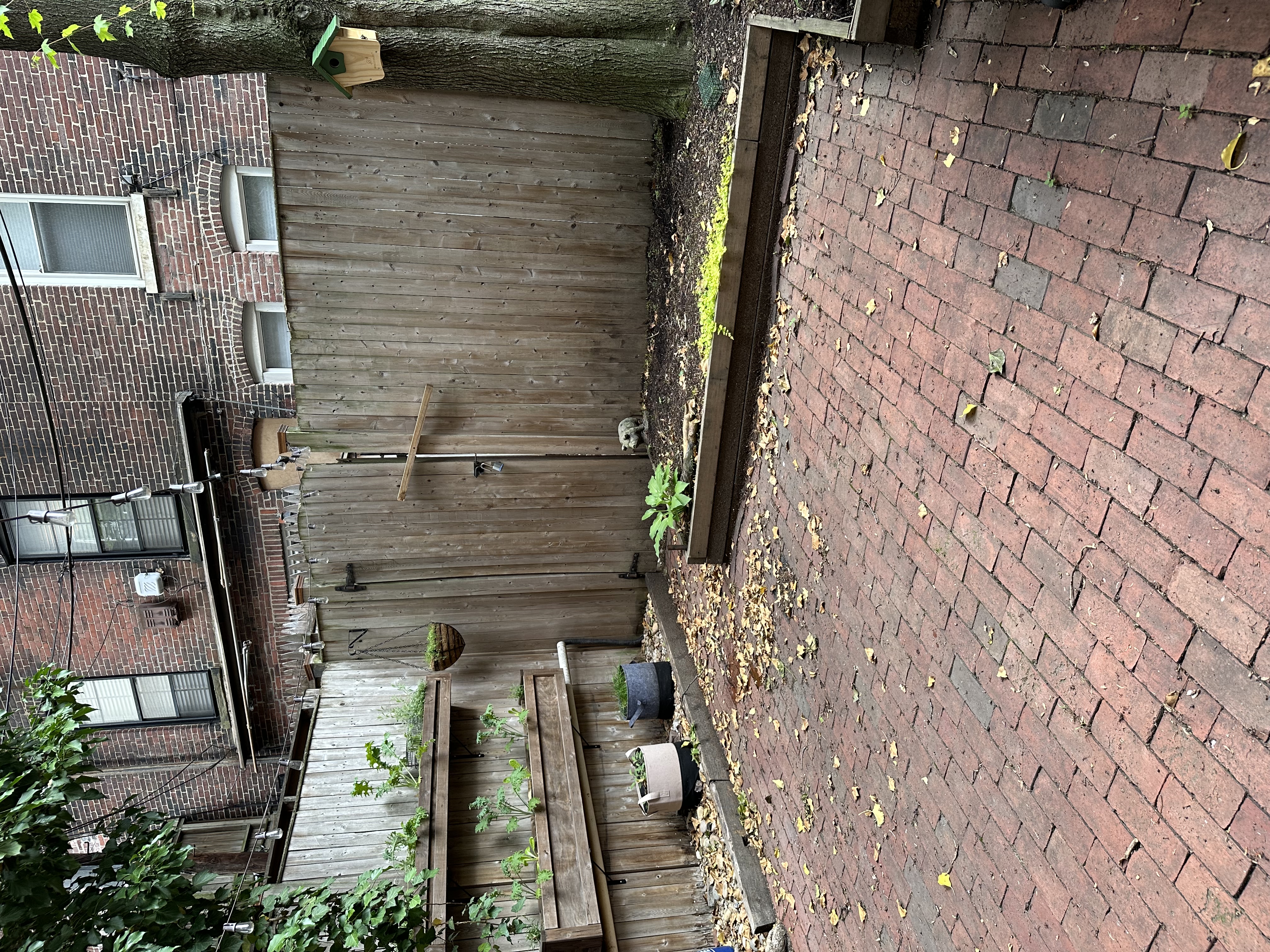 20 Appleton St, South End