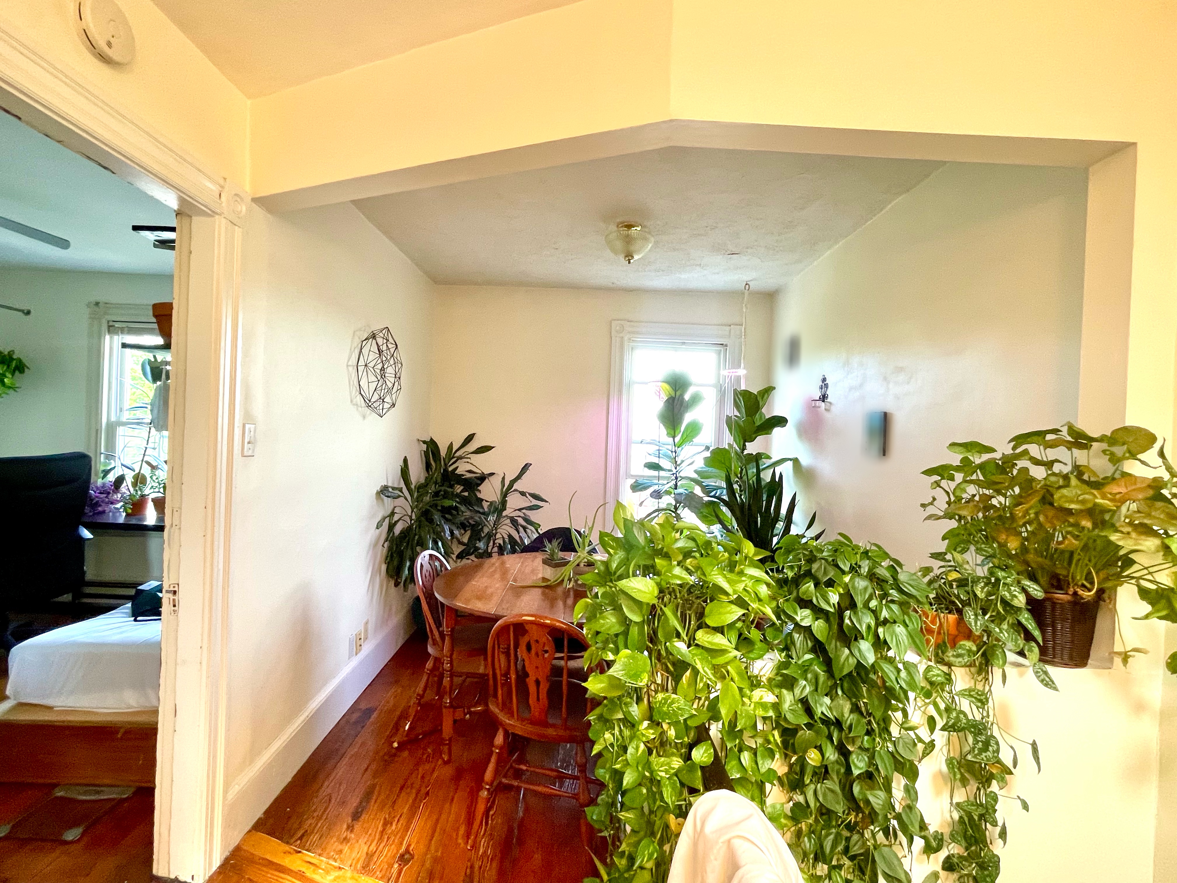 6 Mead St, Lower Allston