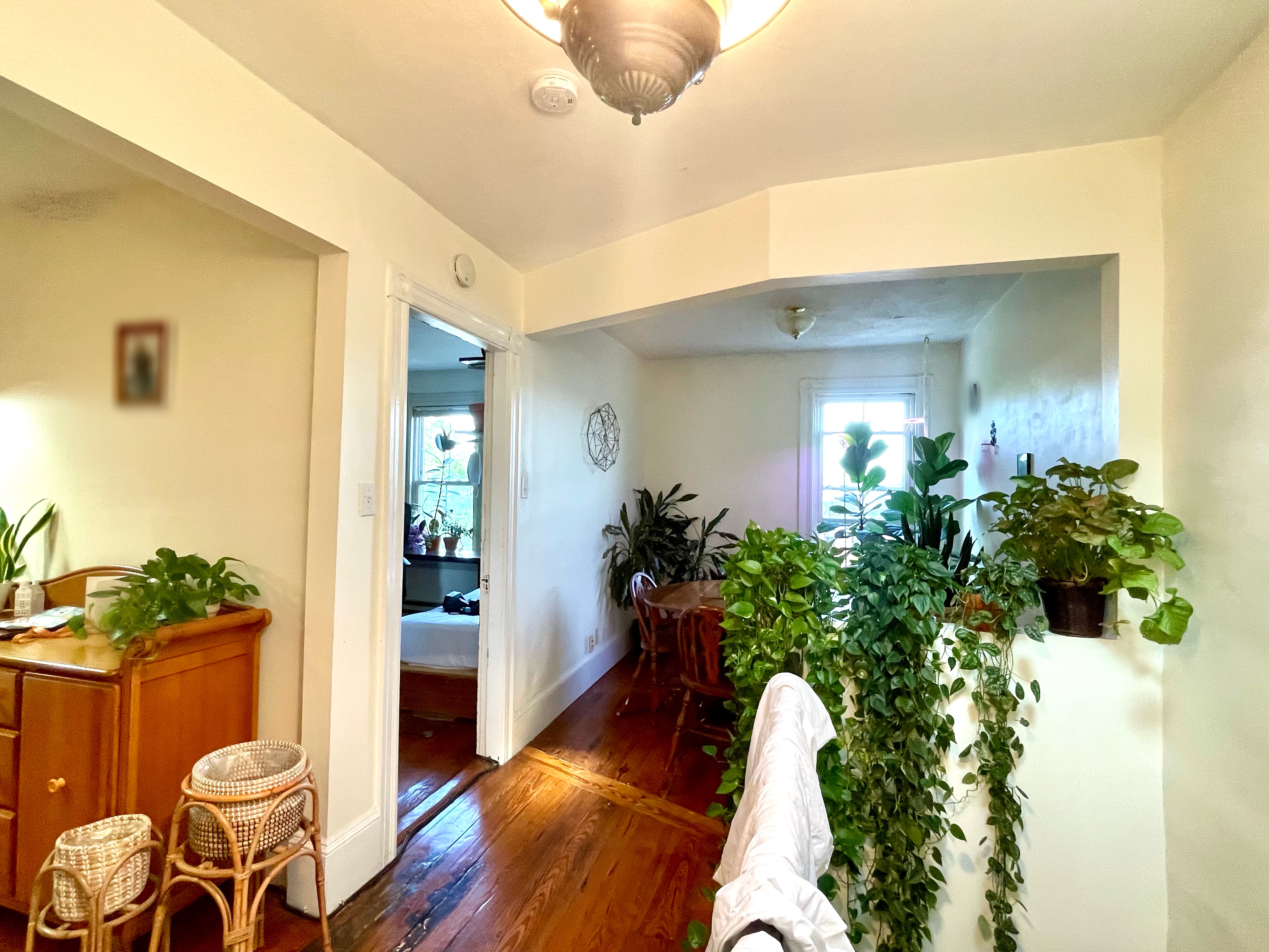 6 Mead St, Lower Allston