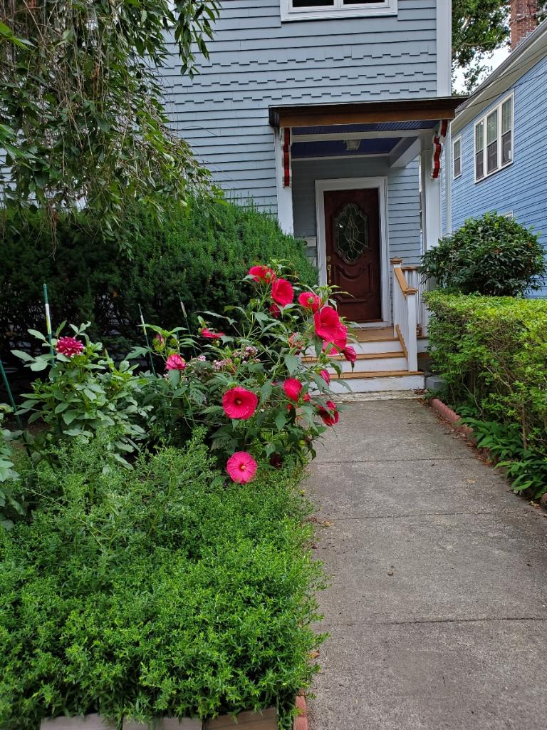 88 Davis Ave, Brookline Village