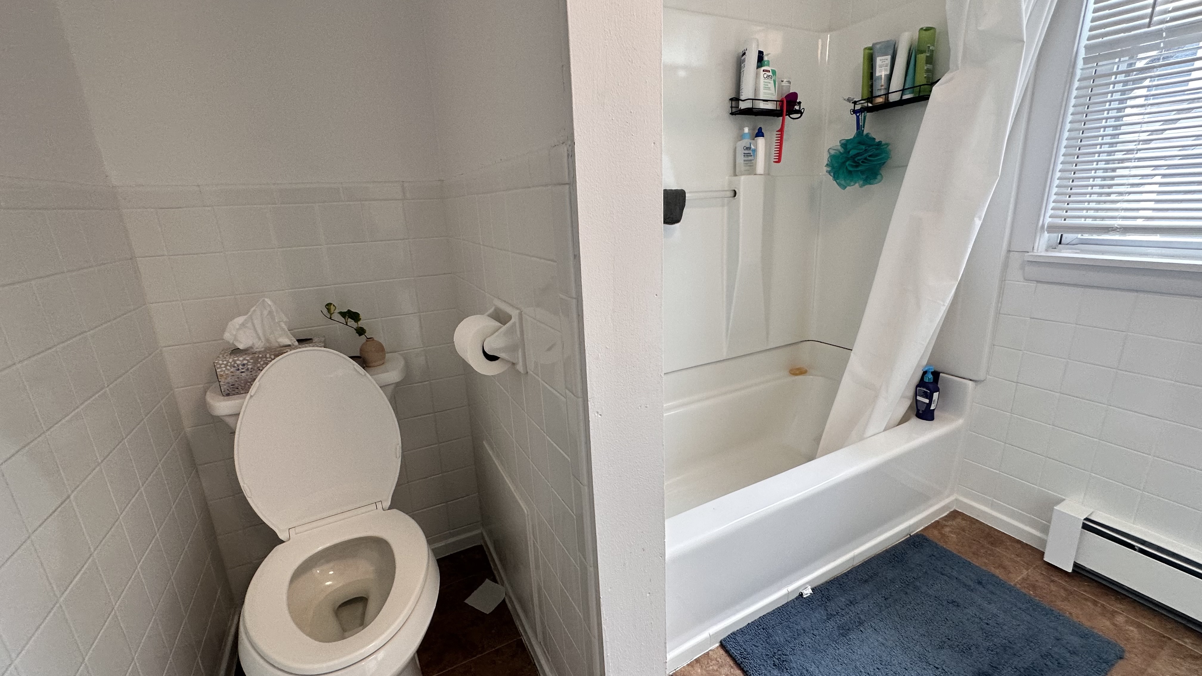 162 Babcock St, Coolidge Corner