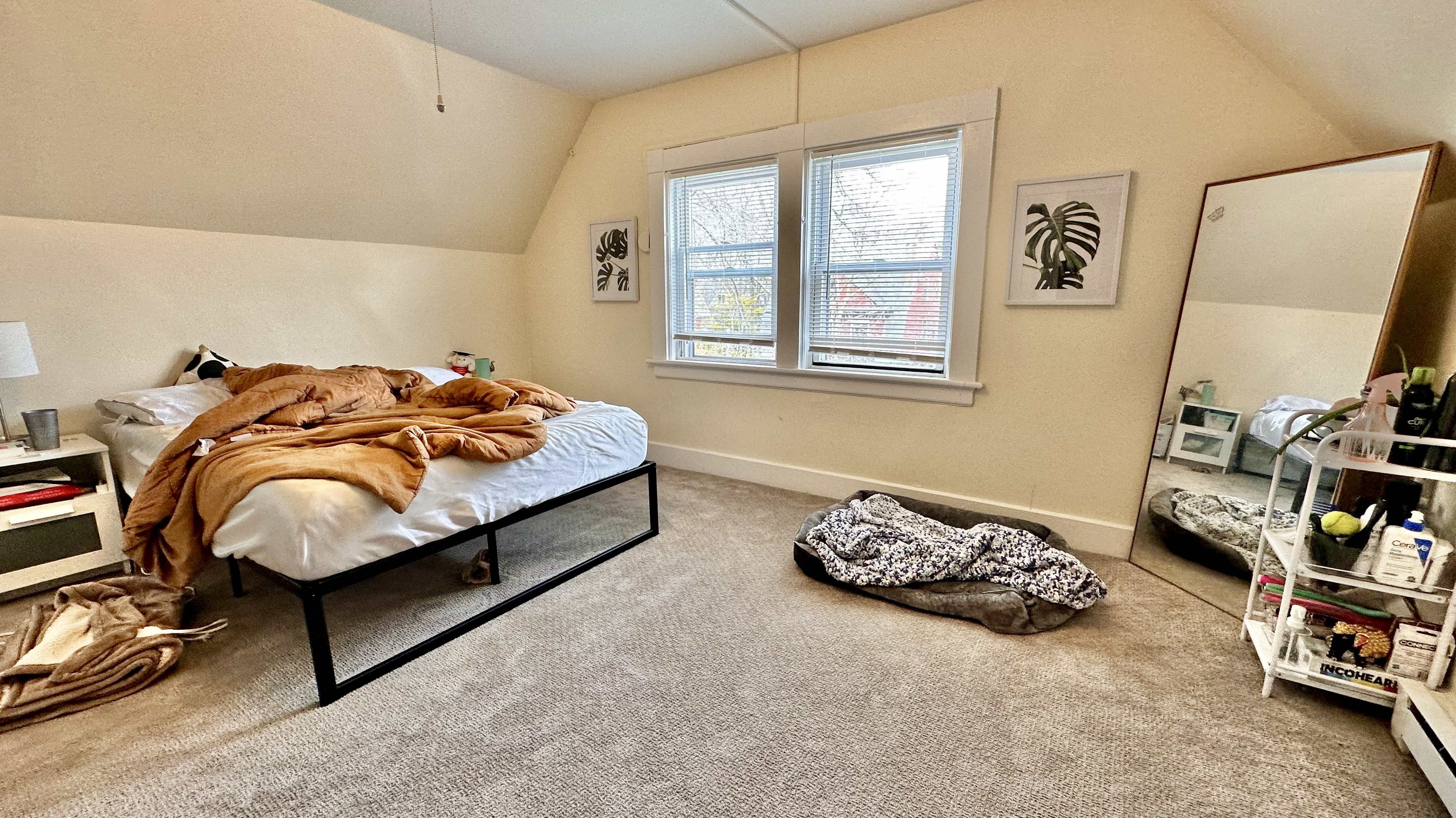 162 Babcock St, Coolidge Corner