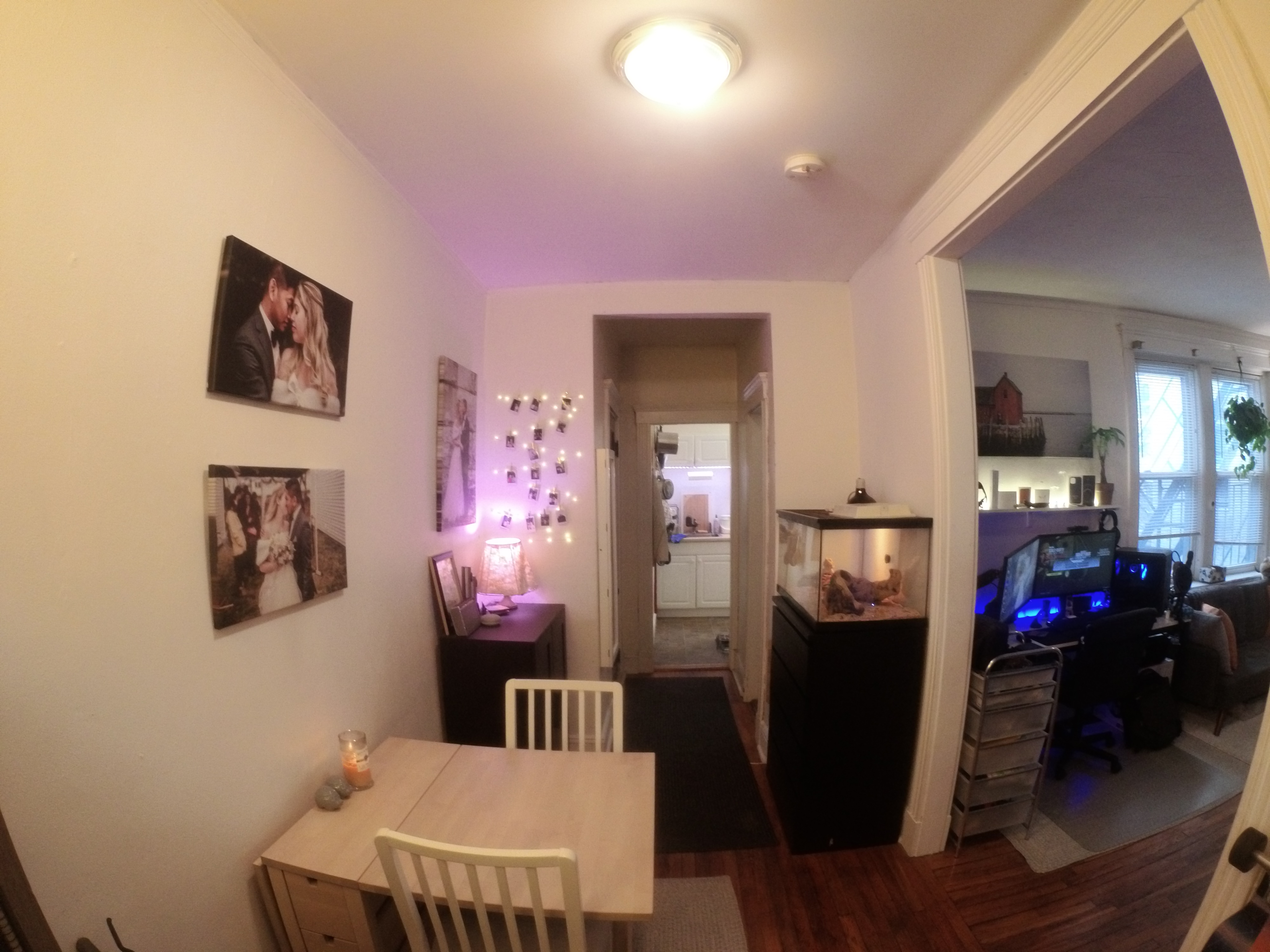 1450 Commonwealth Ave, Brighton