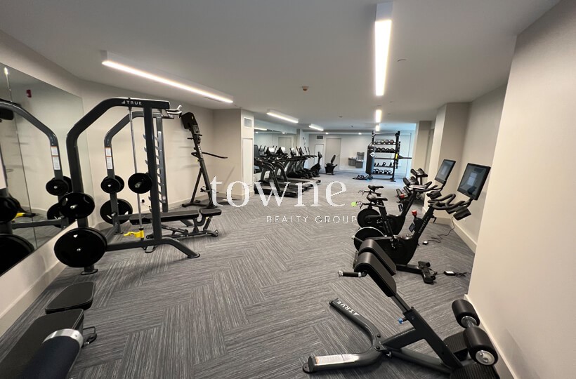 101 Asheville Rd, Chestnut Hill