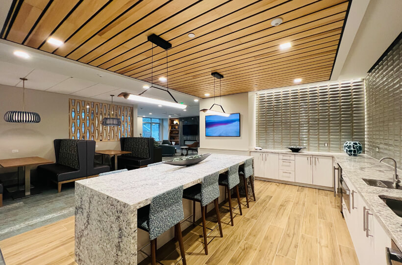 252 Independence Dr, Chestnut Hill