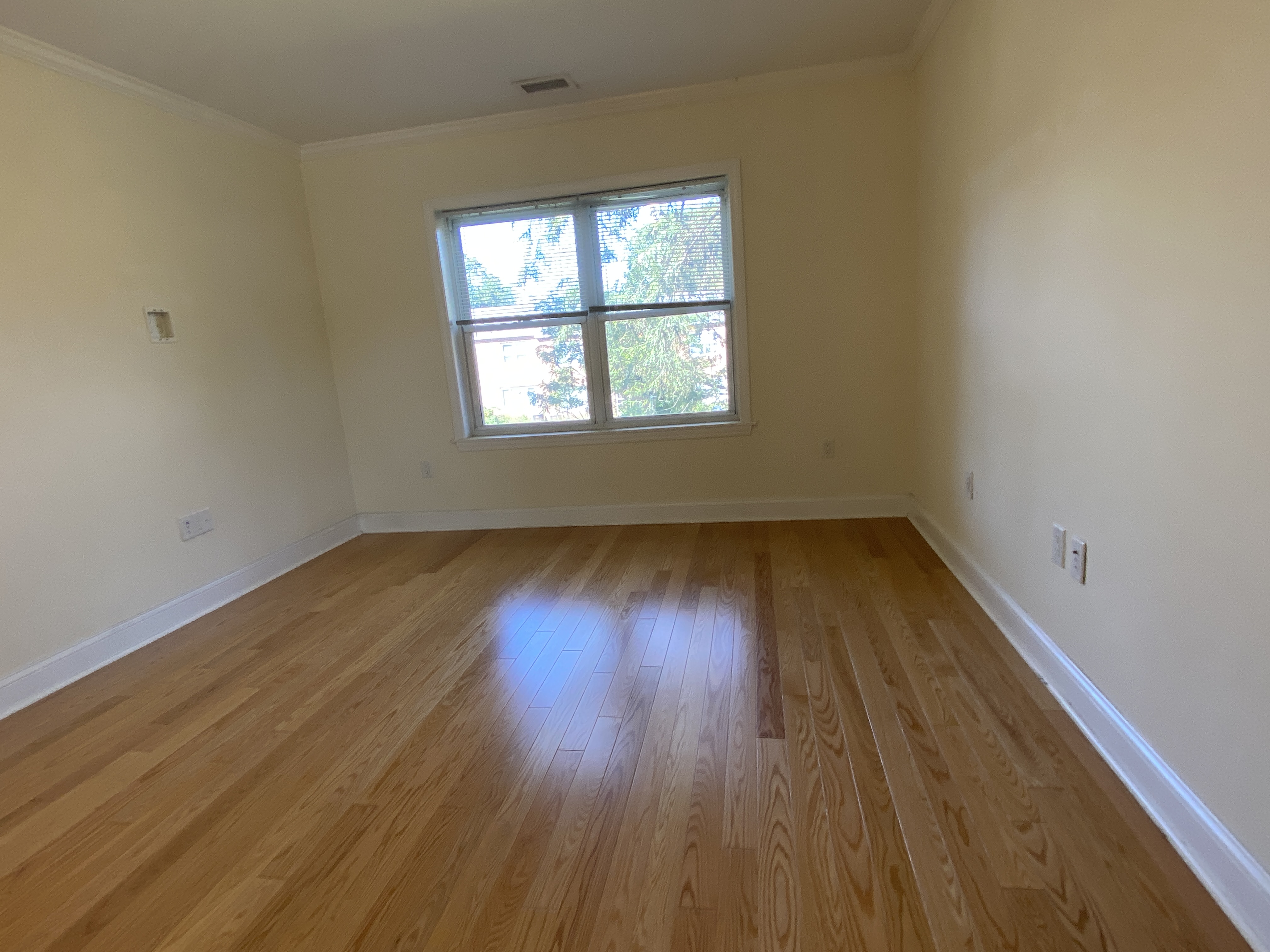 120 Gerry Dr, Chestnut Hill