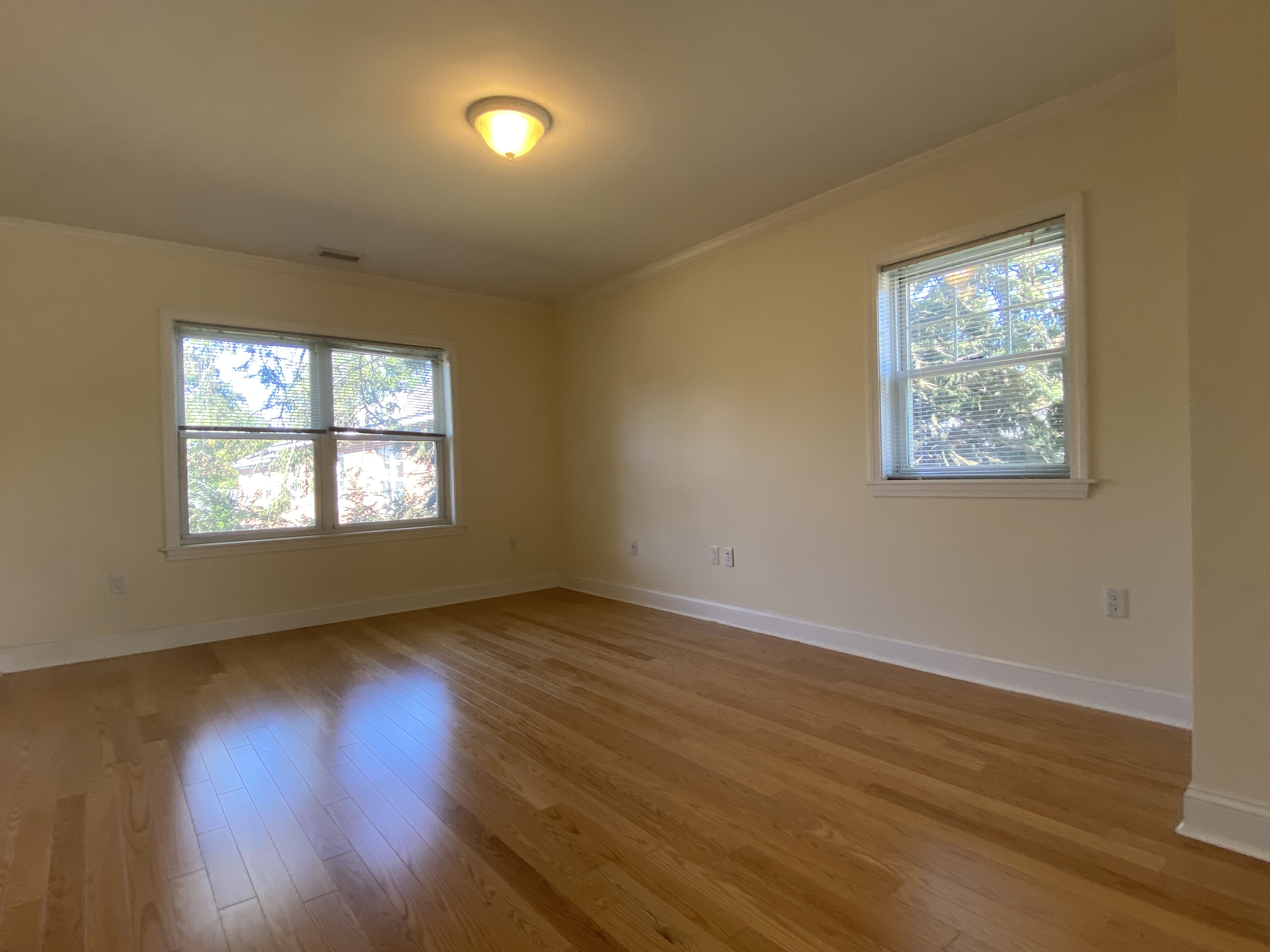 120 Gerry Dr, Chestnut Hill