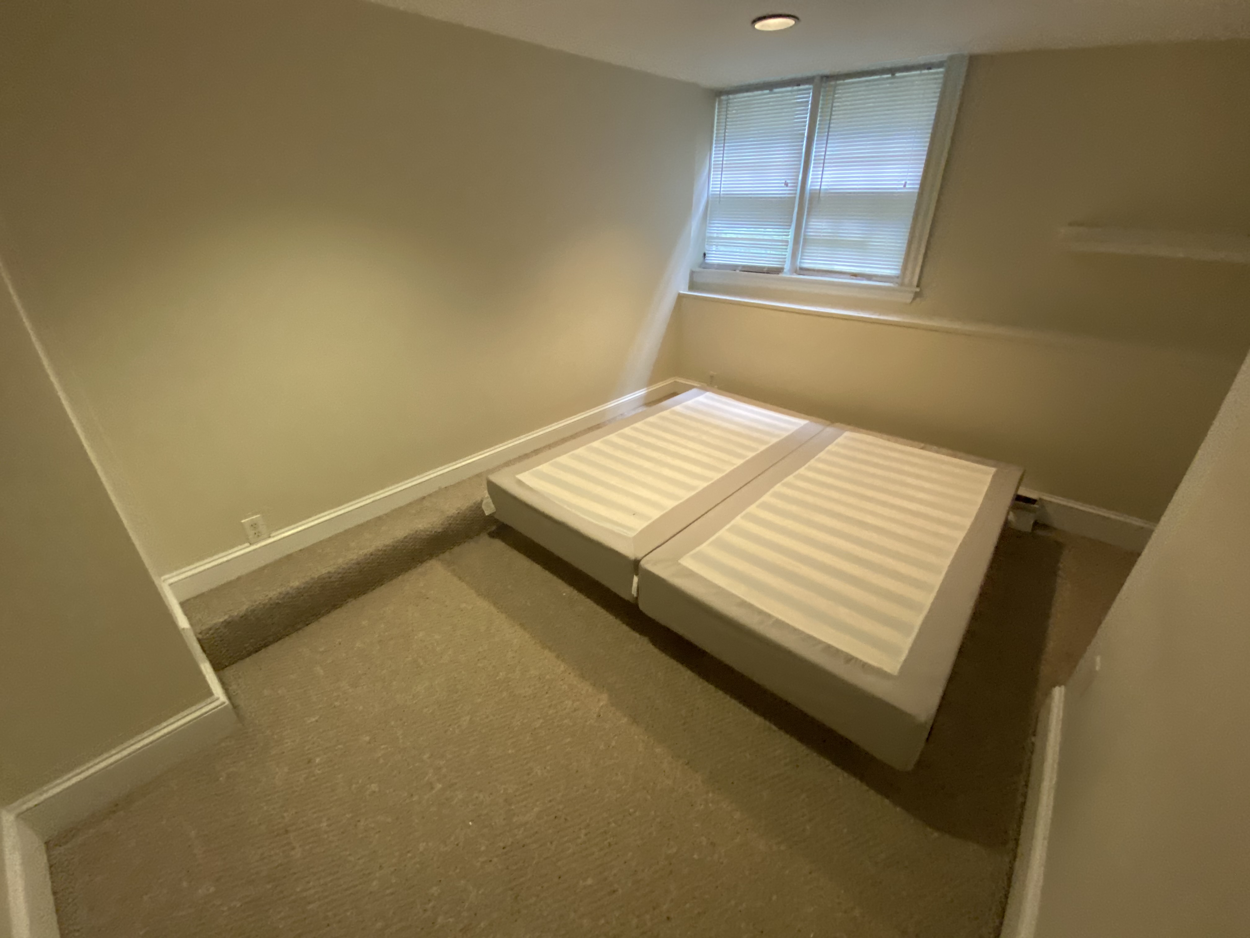 16 Cedar Lane Way, Beacon Hill