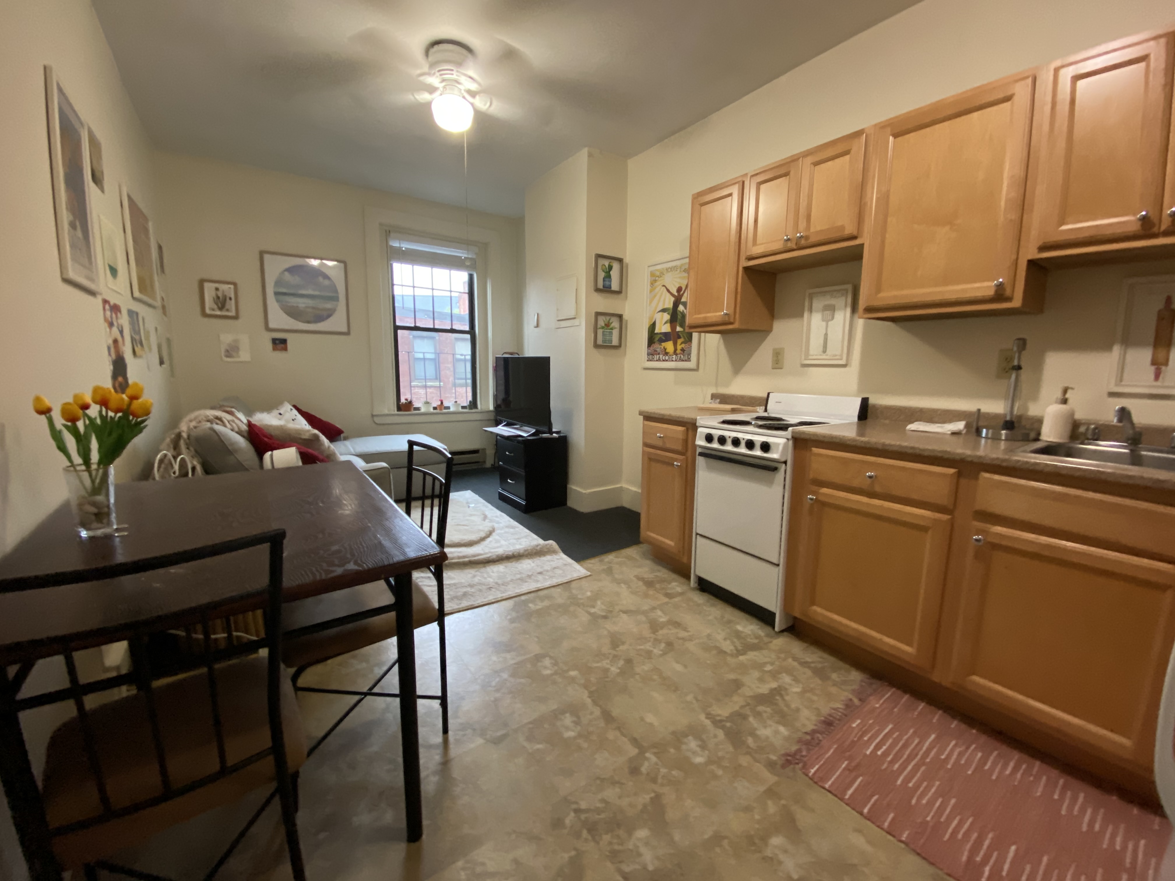 12 Symphony Rd, Fenway