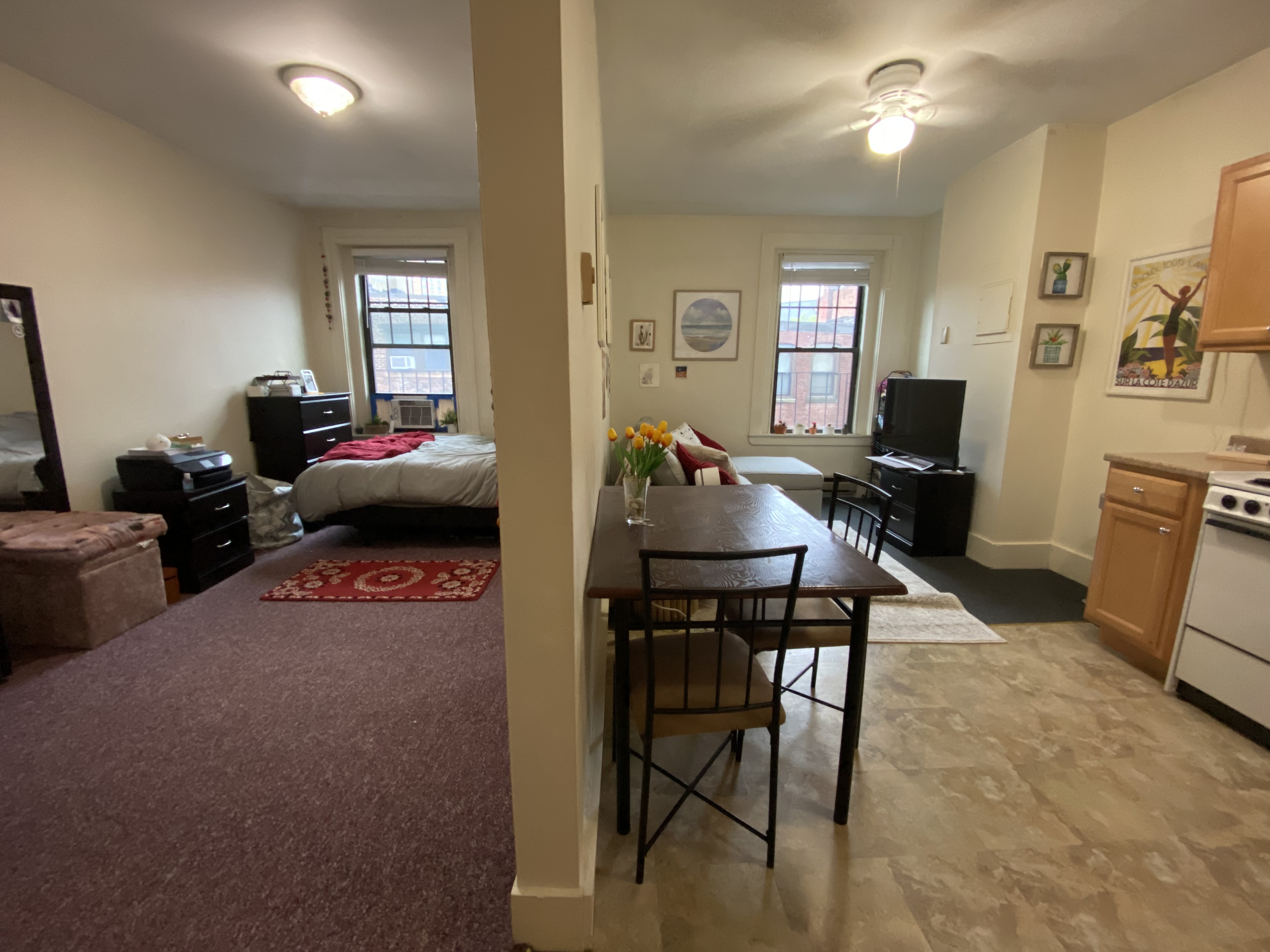 12 Symphony Rd, Fenway