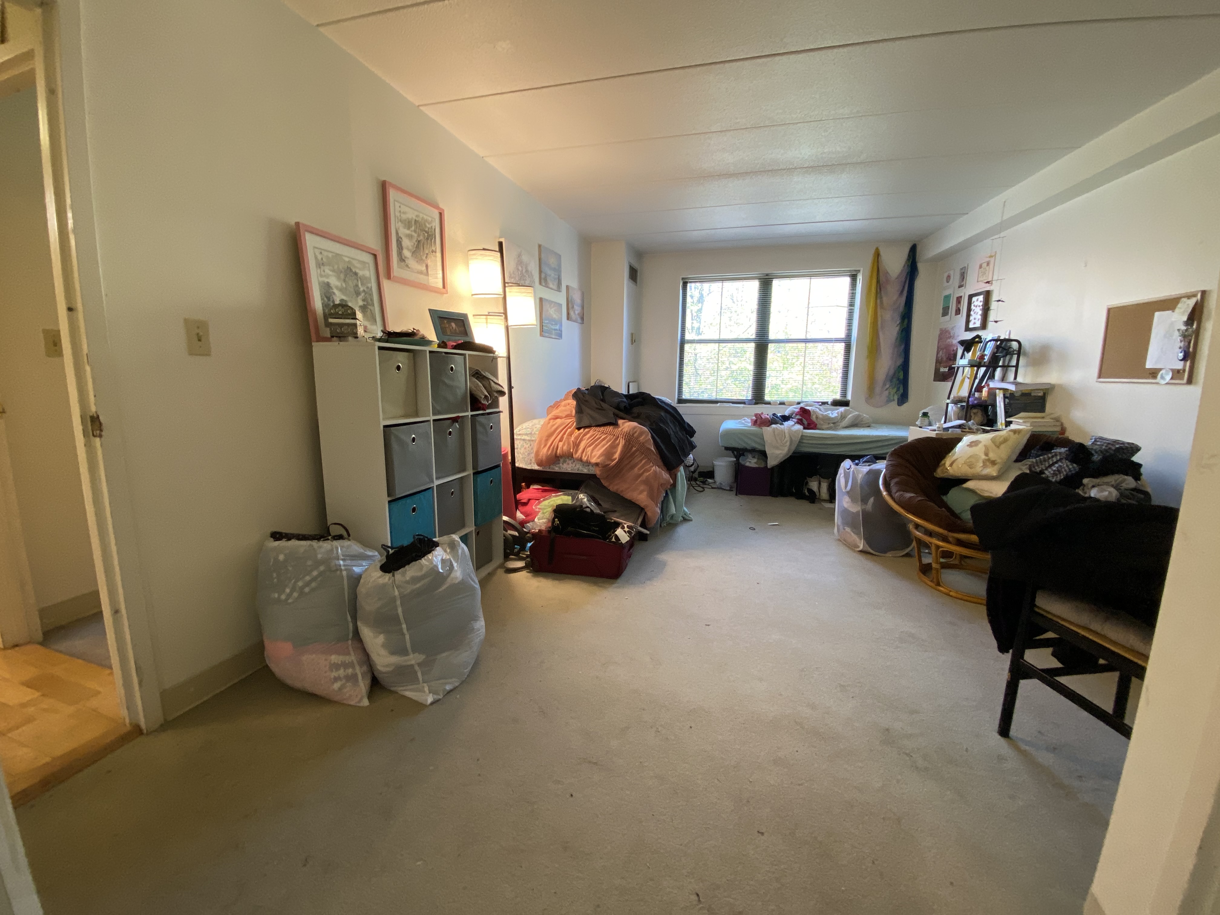 3 Douglas Park, South End