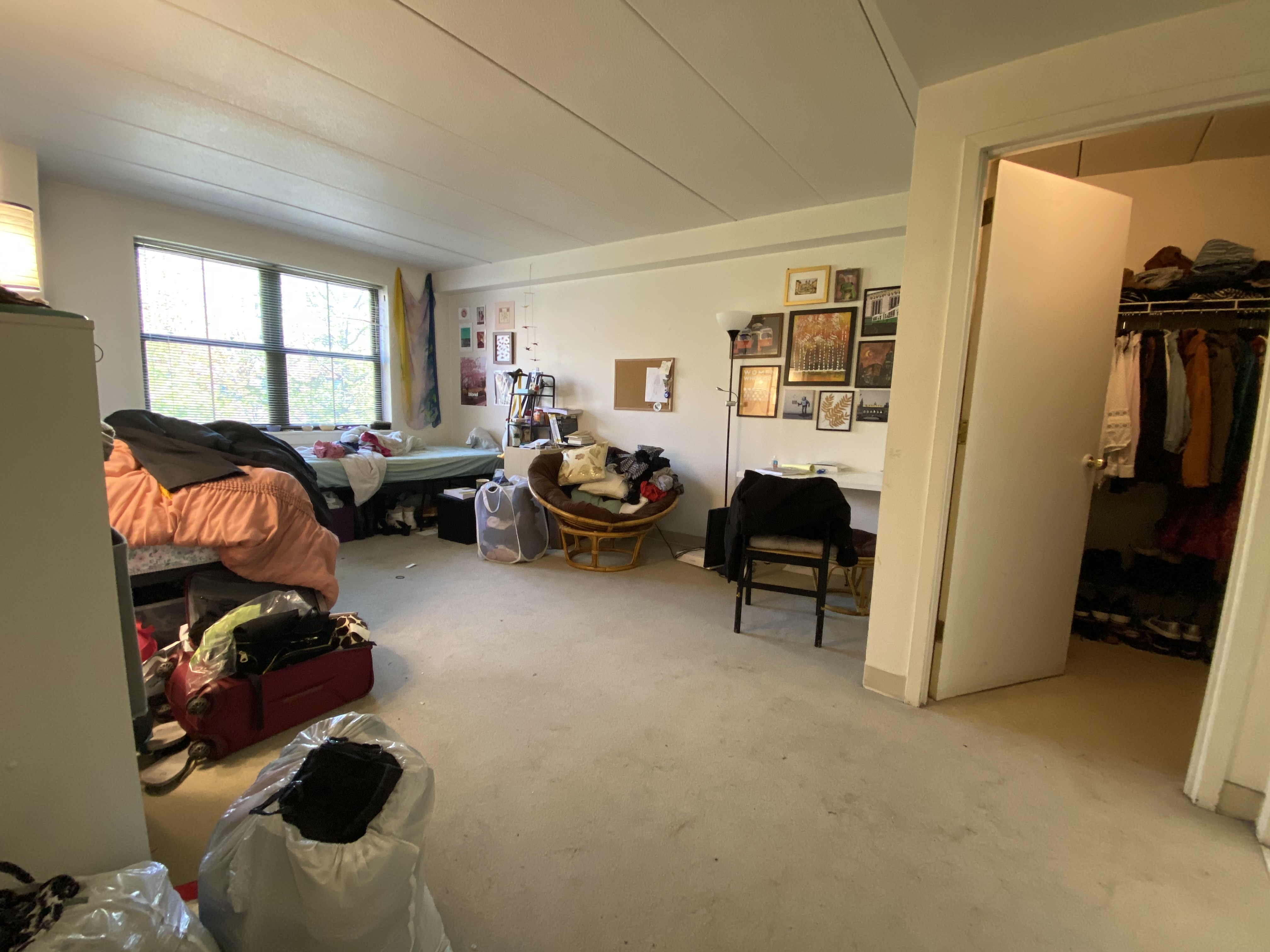 3 Douglas Park, South End