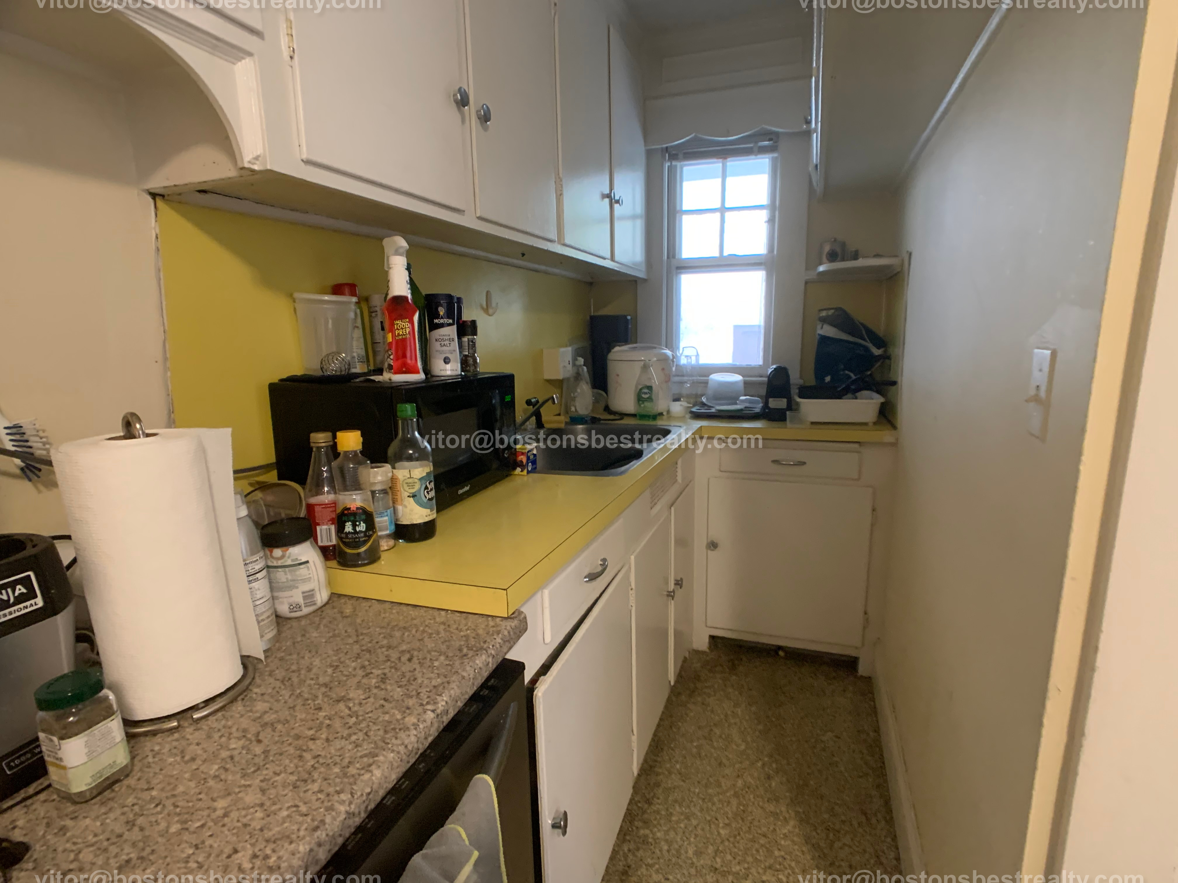 208 Freeman St, Coolidge Corner