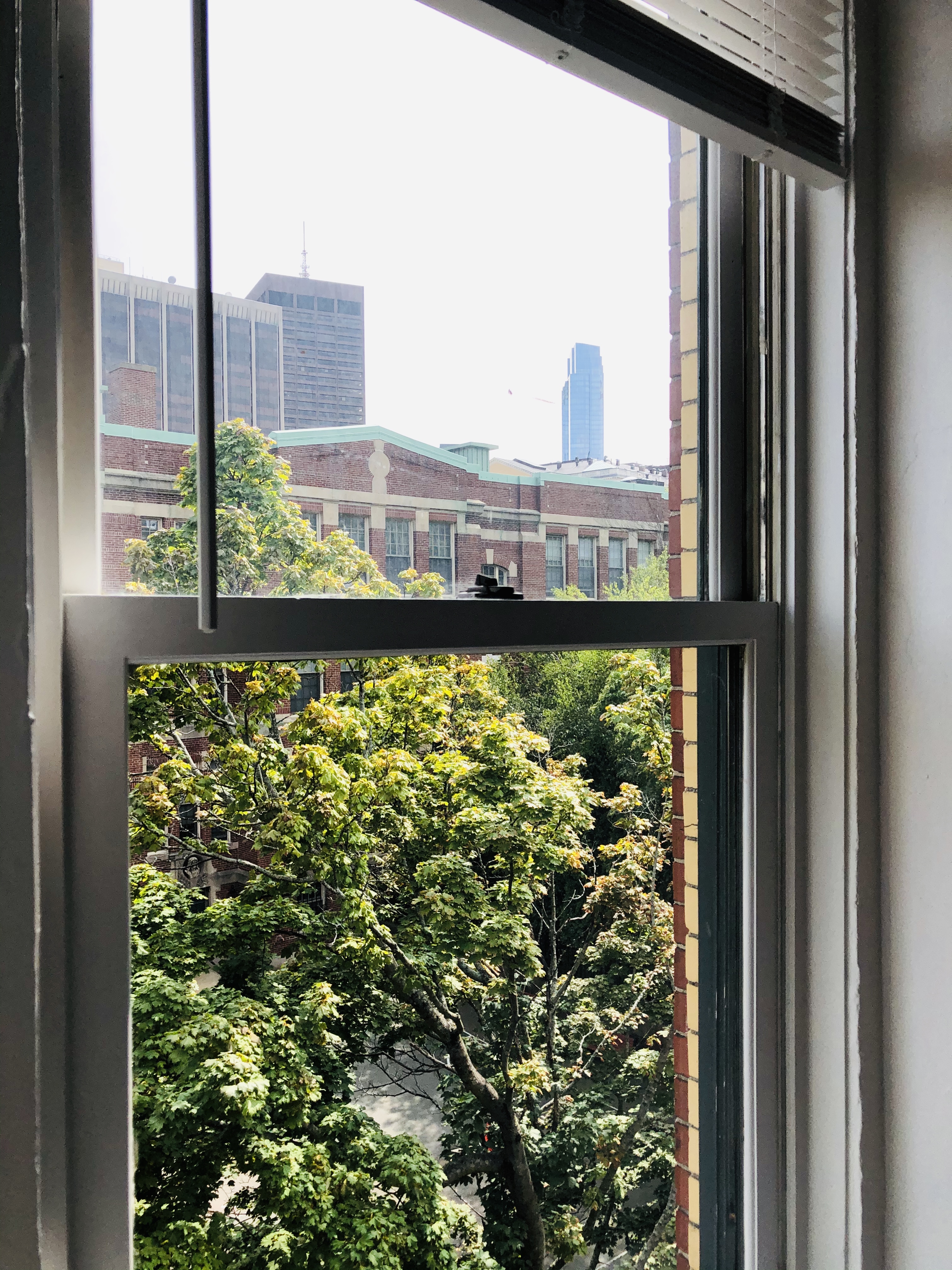 17 Russell St, Beacon Hill