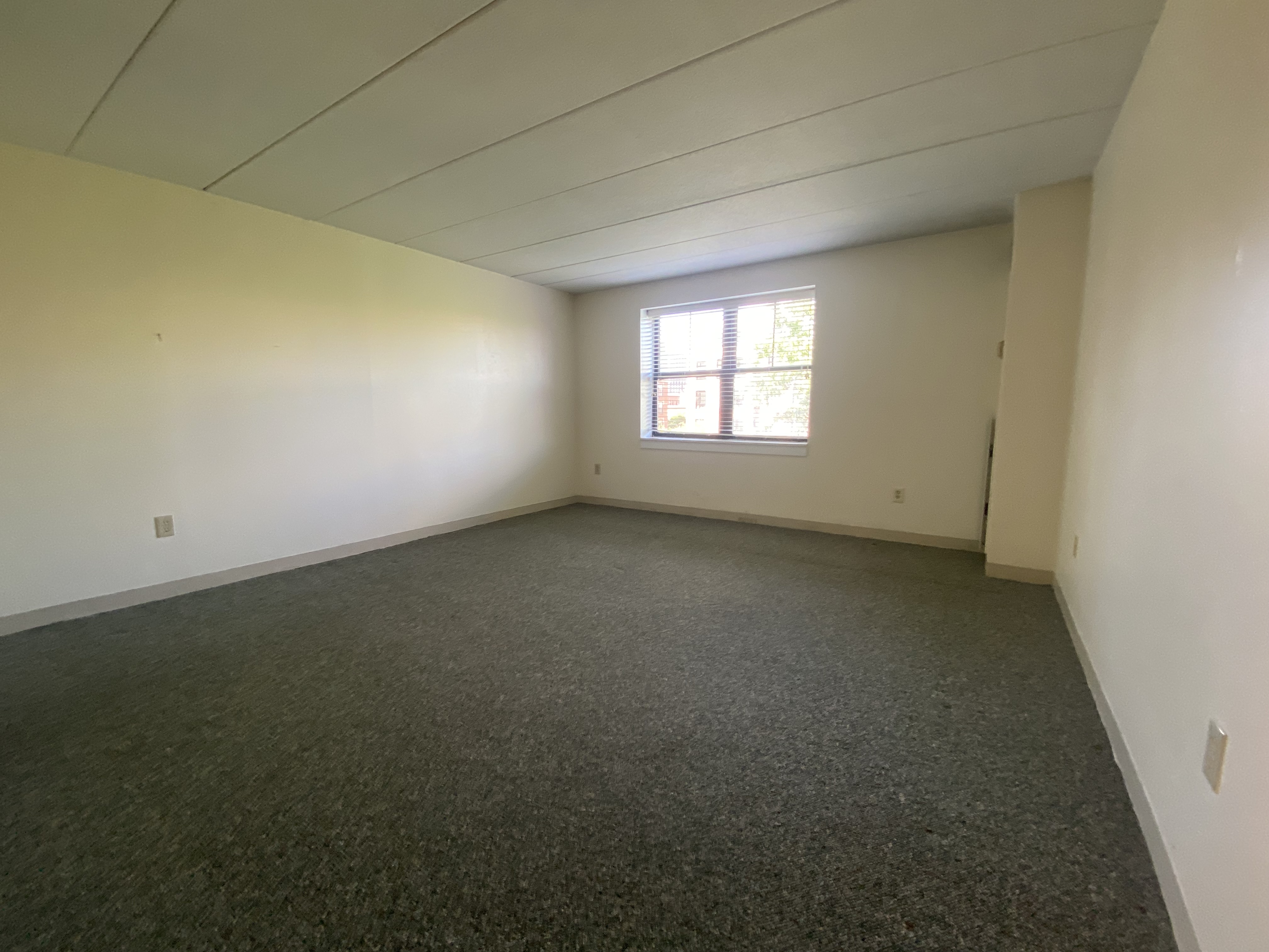 3 Douglas Park, South End