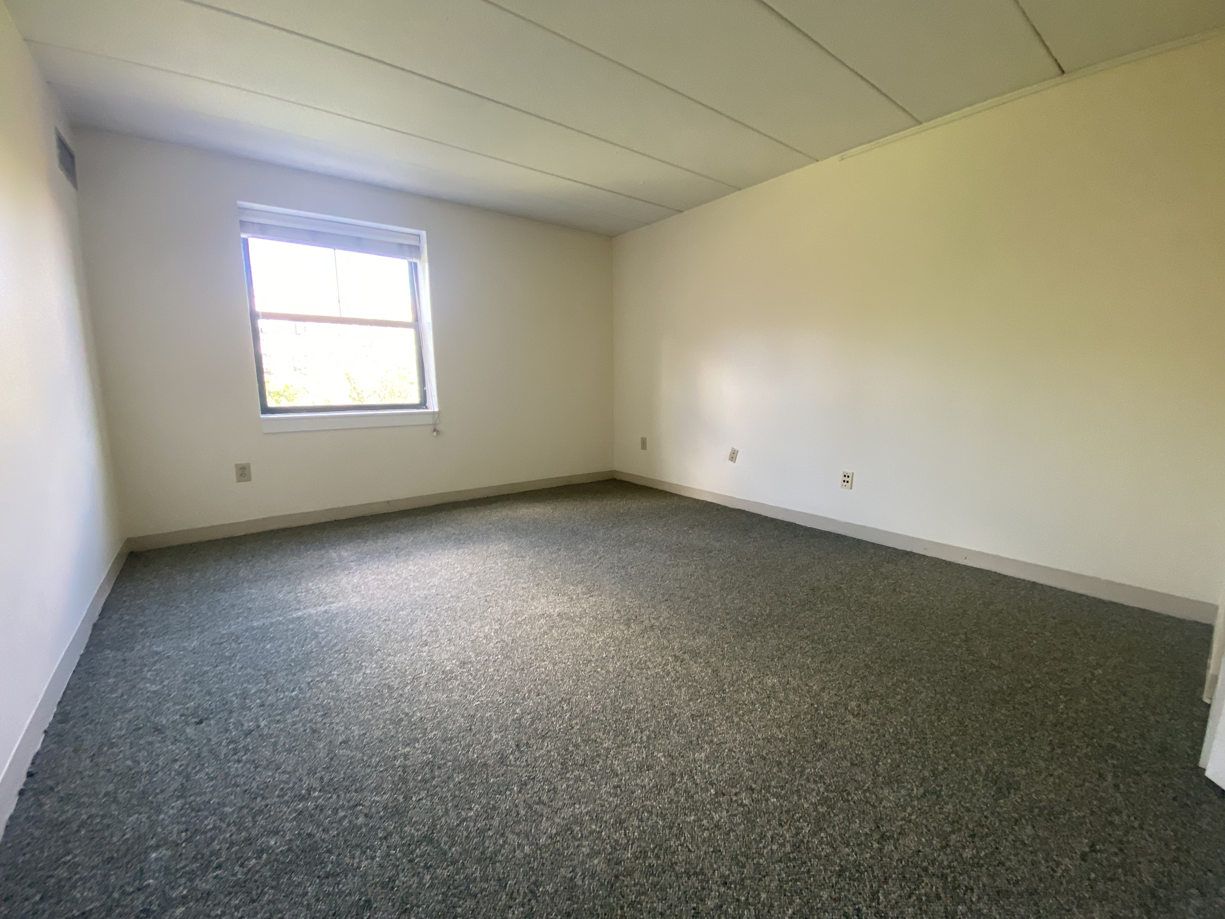 3 Douglas Park, South End