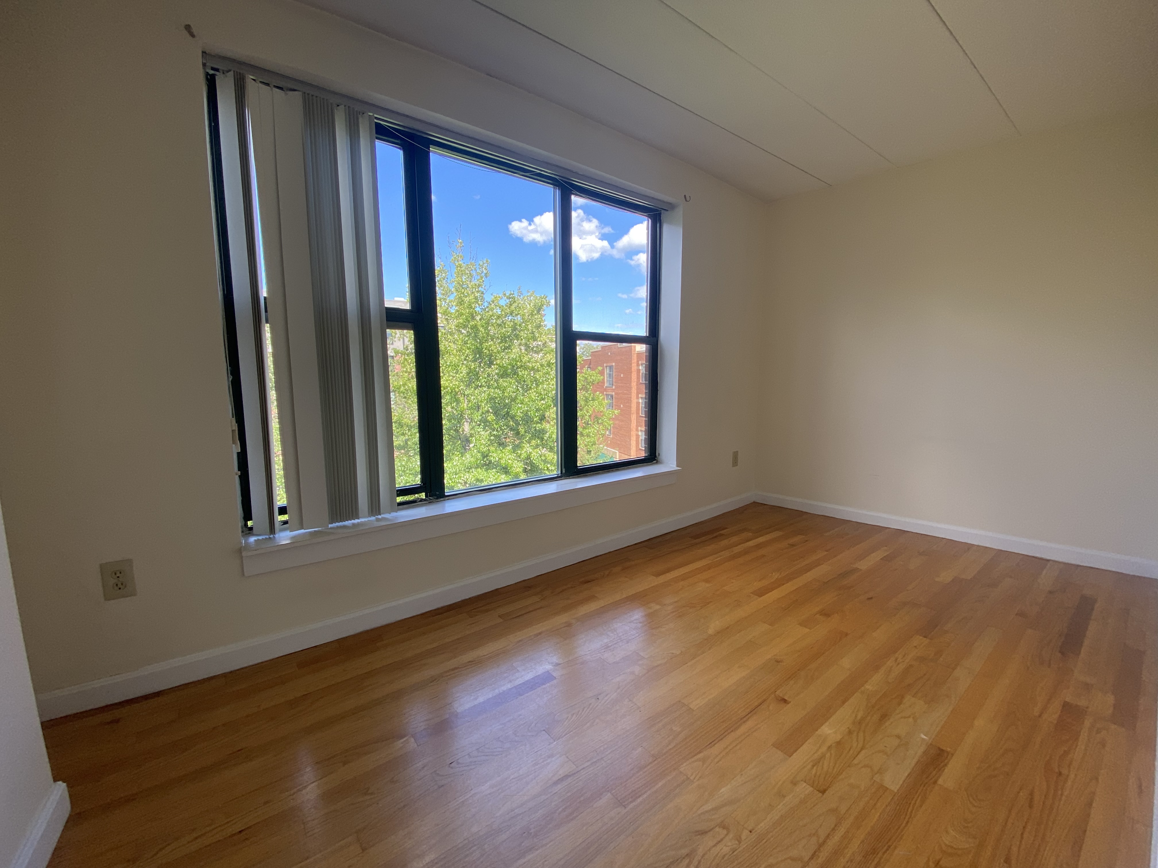 3 Douglas Park, South End