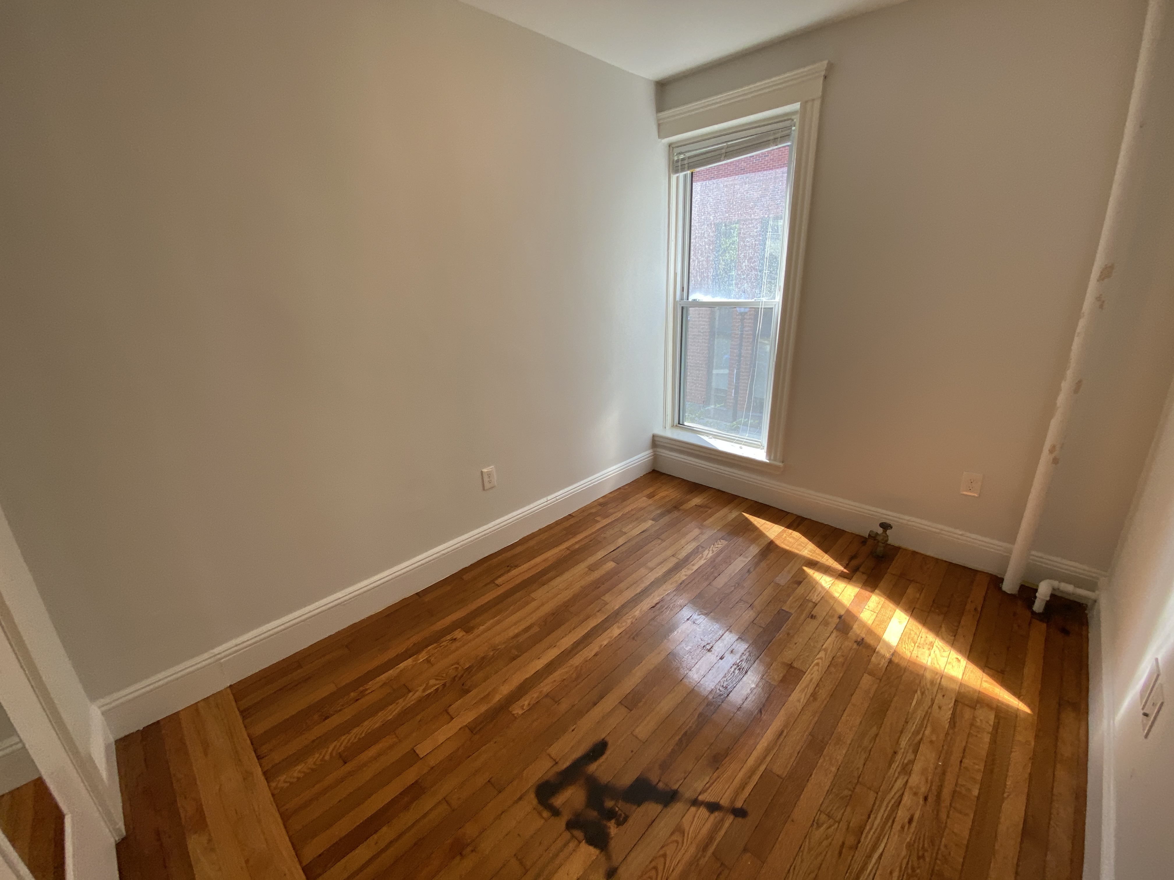 49 Worthington St, Roxbury