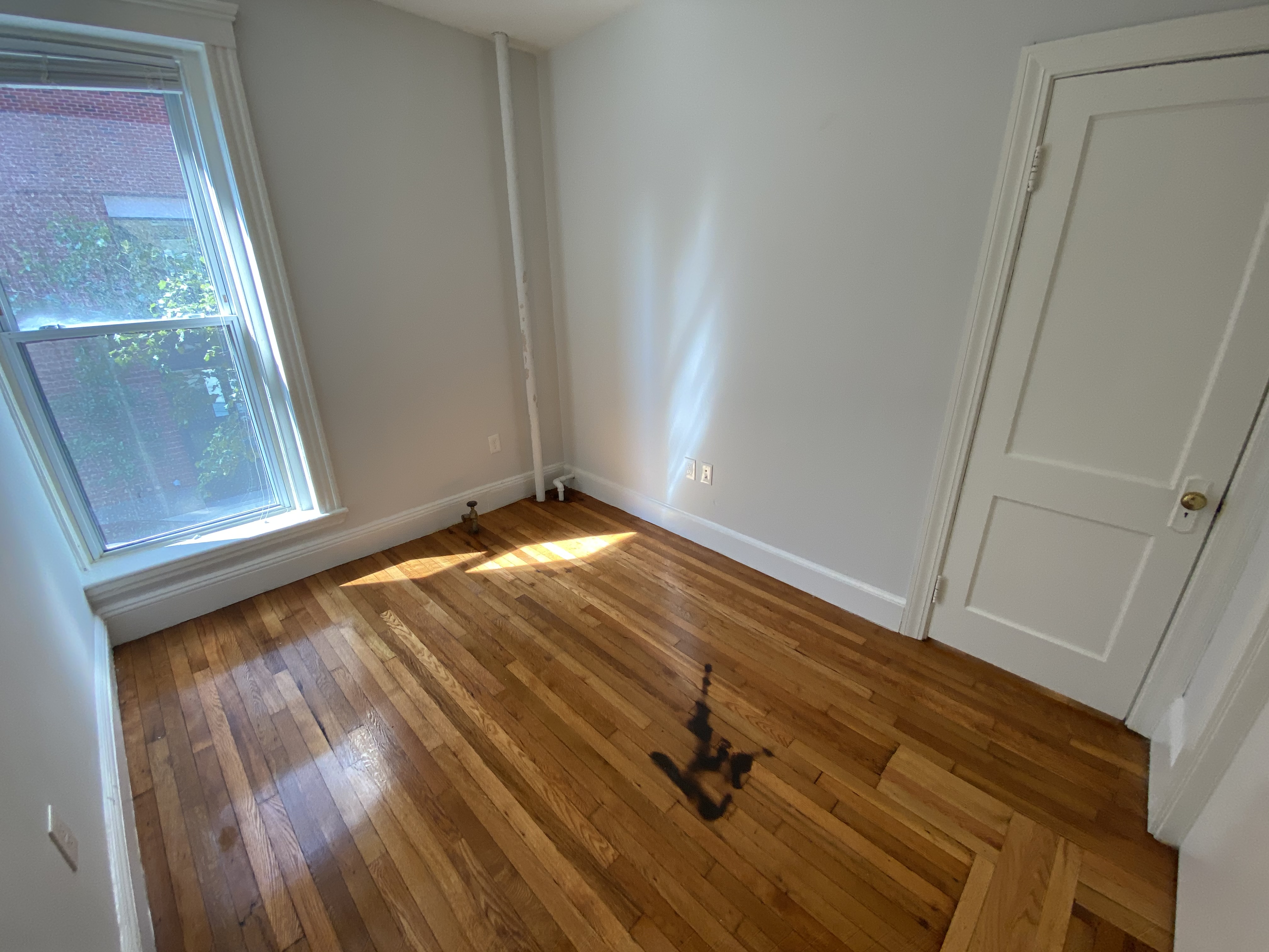 49 Worthington St, Roxbury