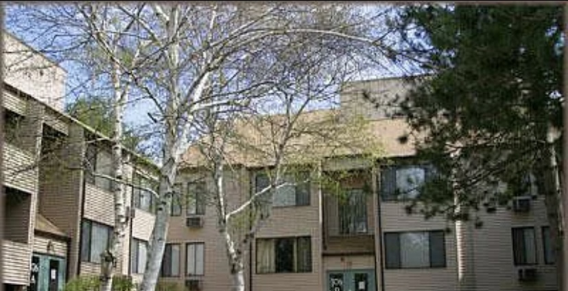 378 Sunderland Rd, Shrewsbury Street