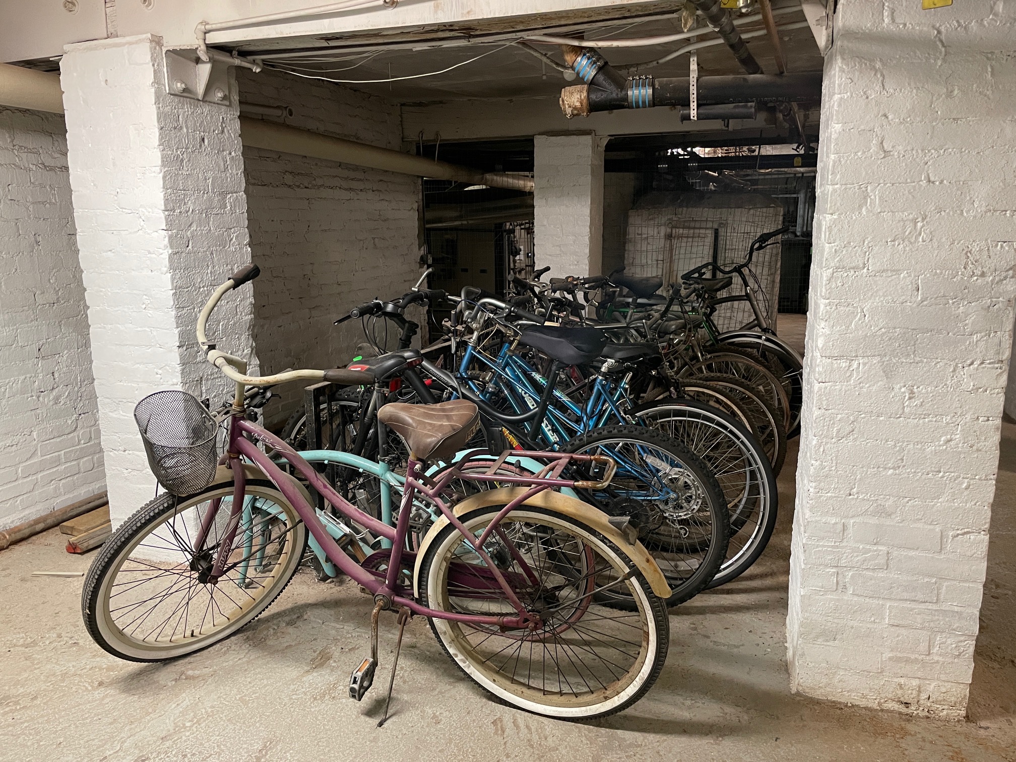 31 Orkney Rd, Brighton