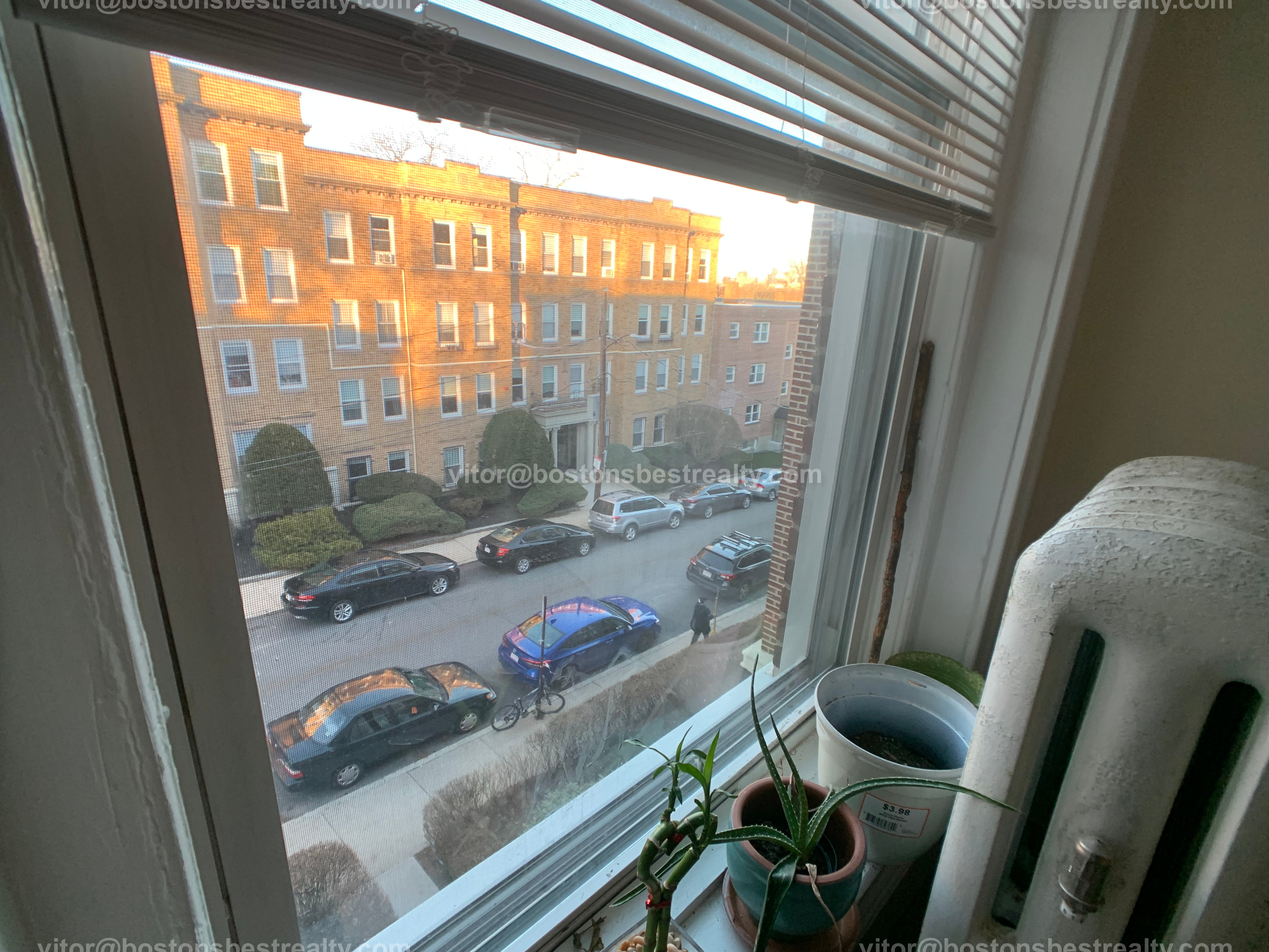 5 Vinal St, Brighton