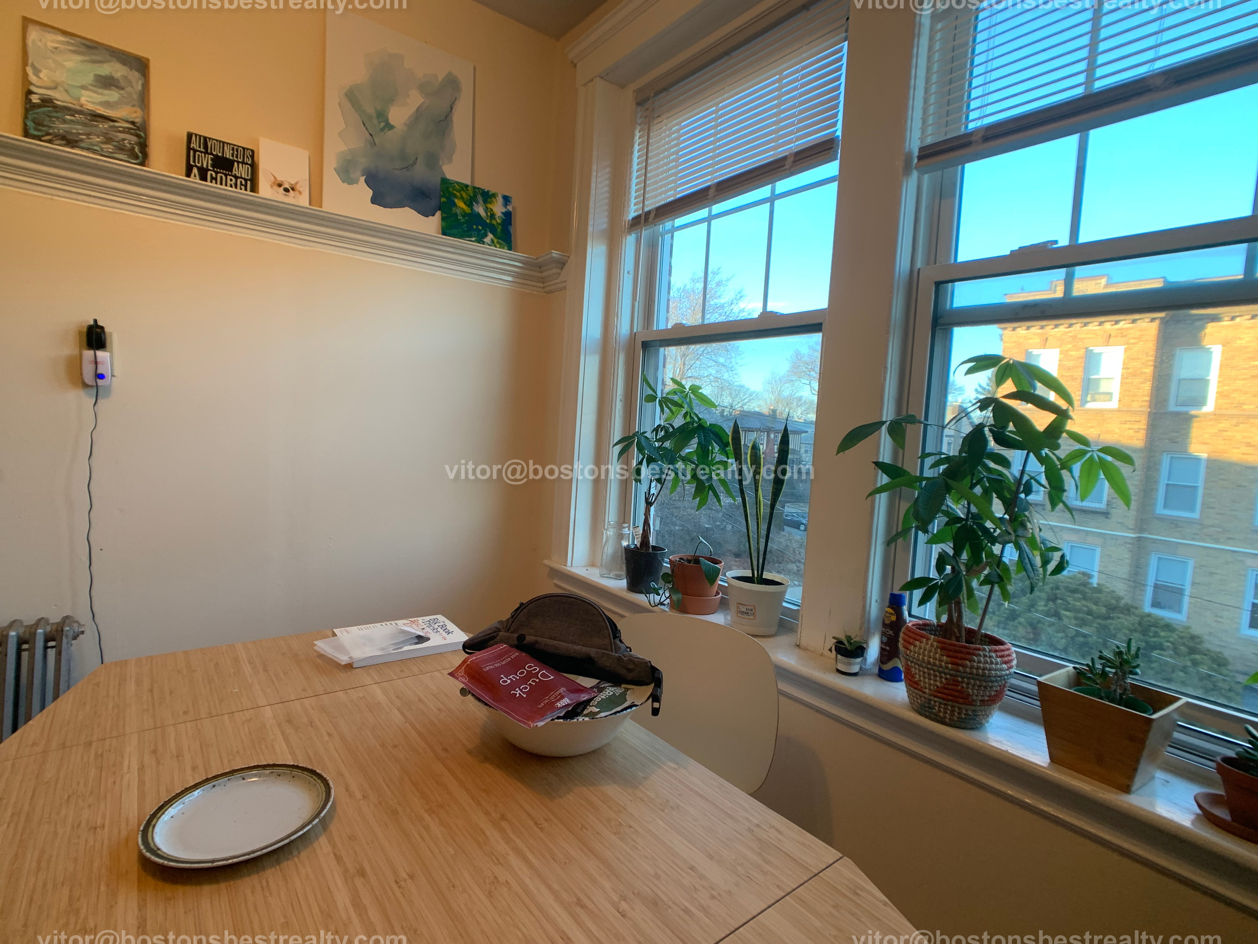 5 Vinal St, Brighton