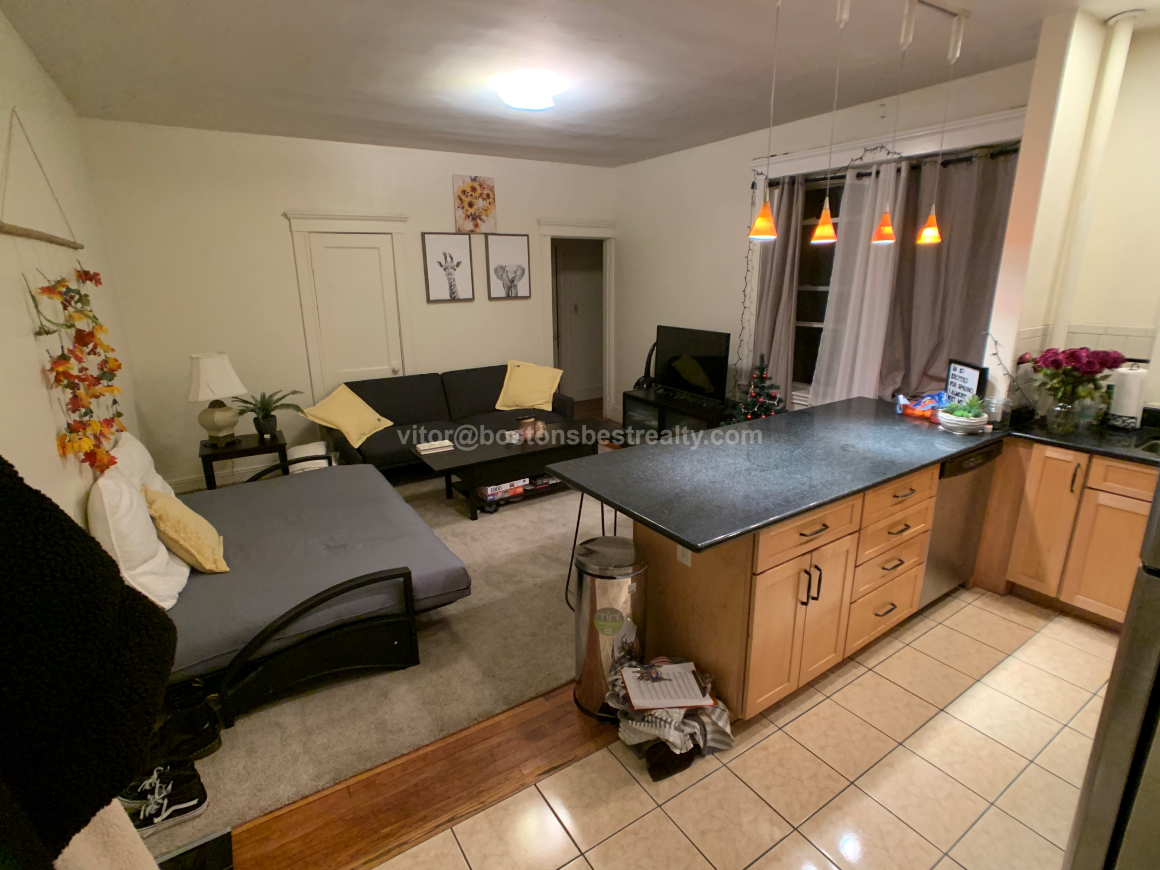 233 Kelton St, Allston