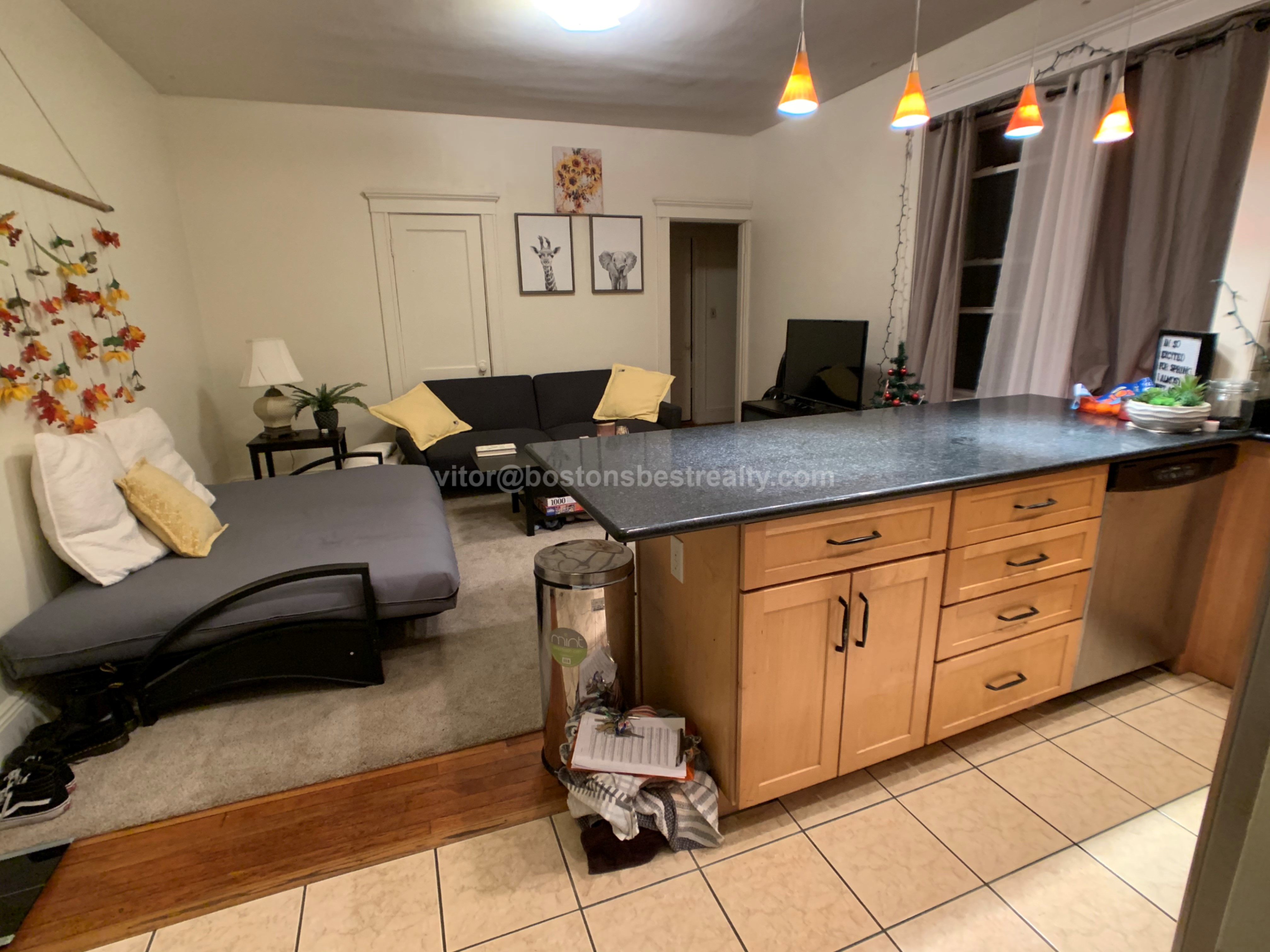 233 Kelton St, Allston