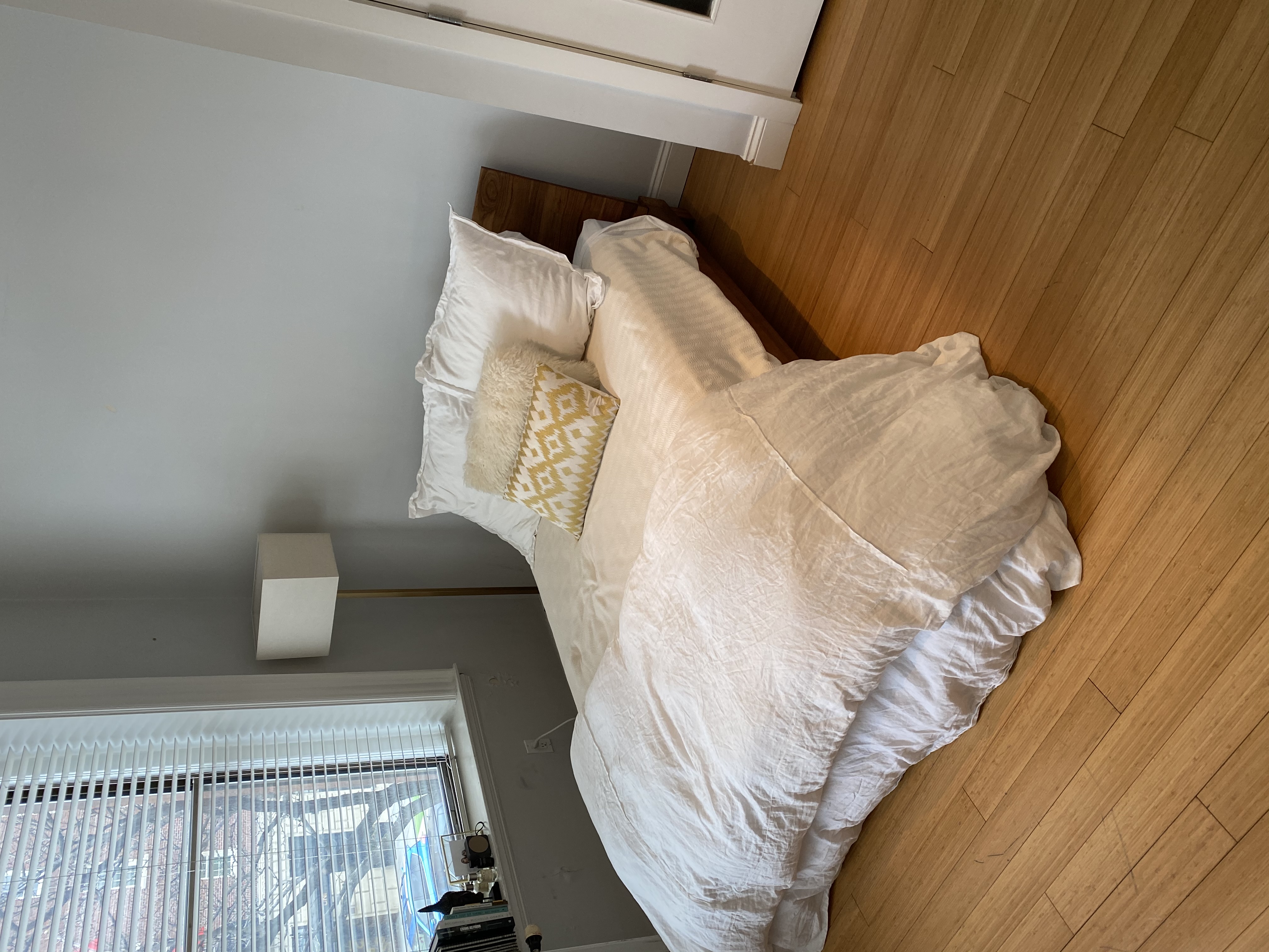 366 Commonwealth Ave, Back Bay