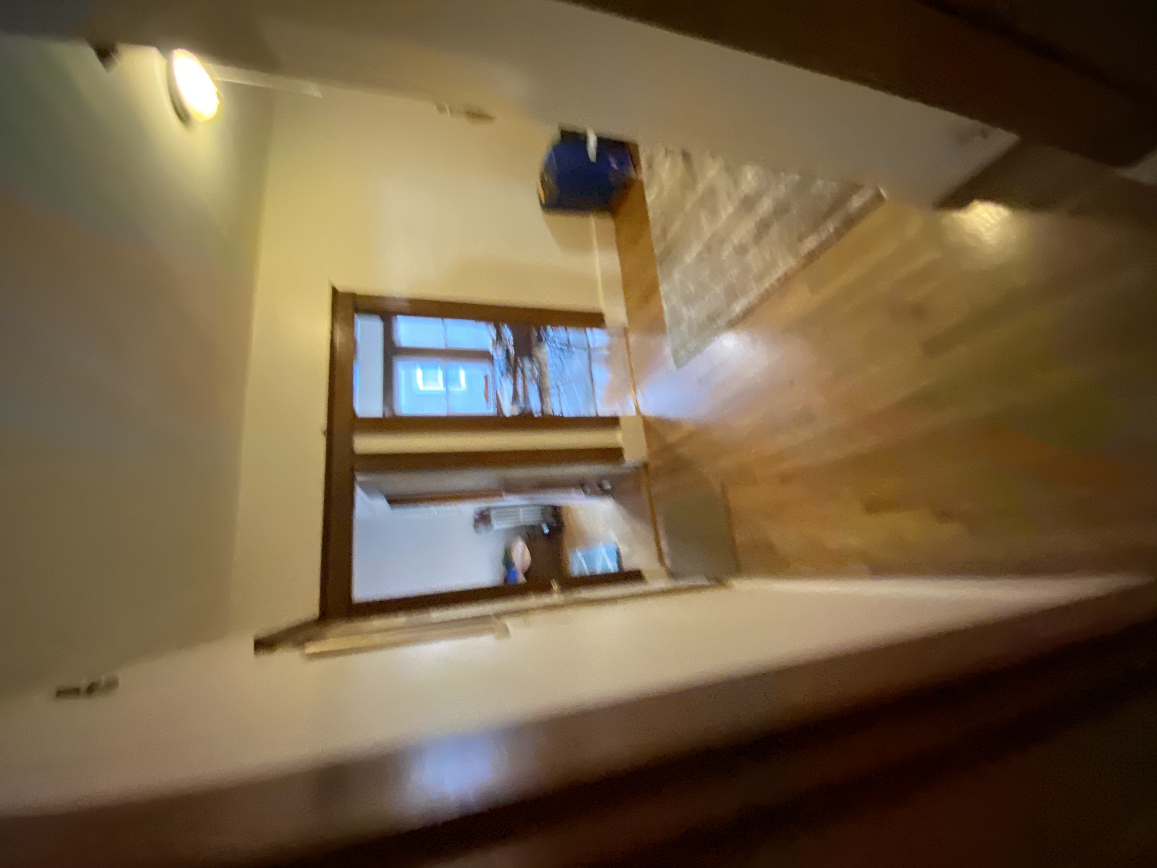 9 Wilson Park, Brighton