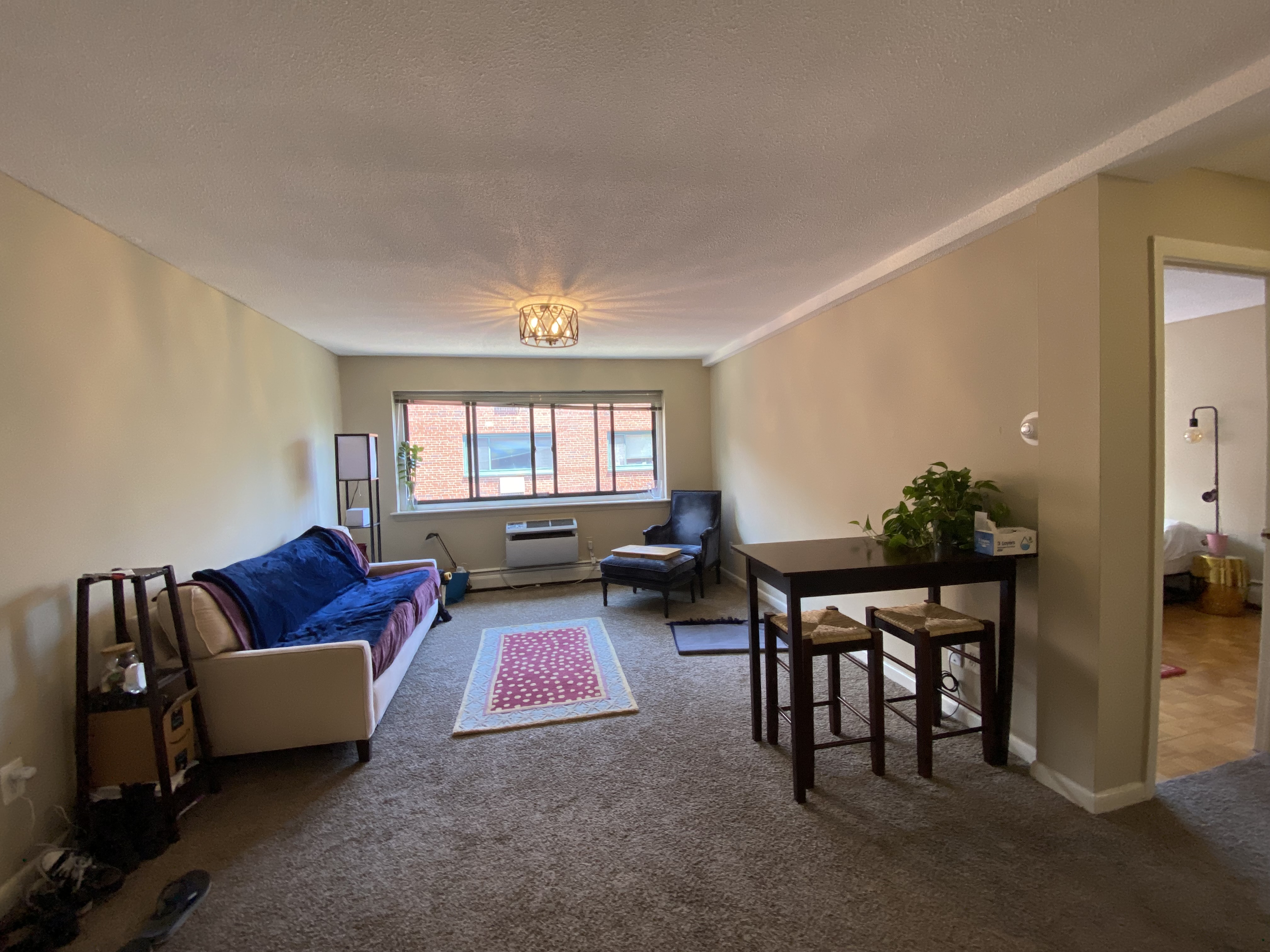 375 Harvard St, Harvard Square