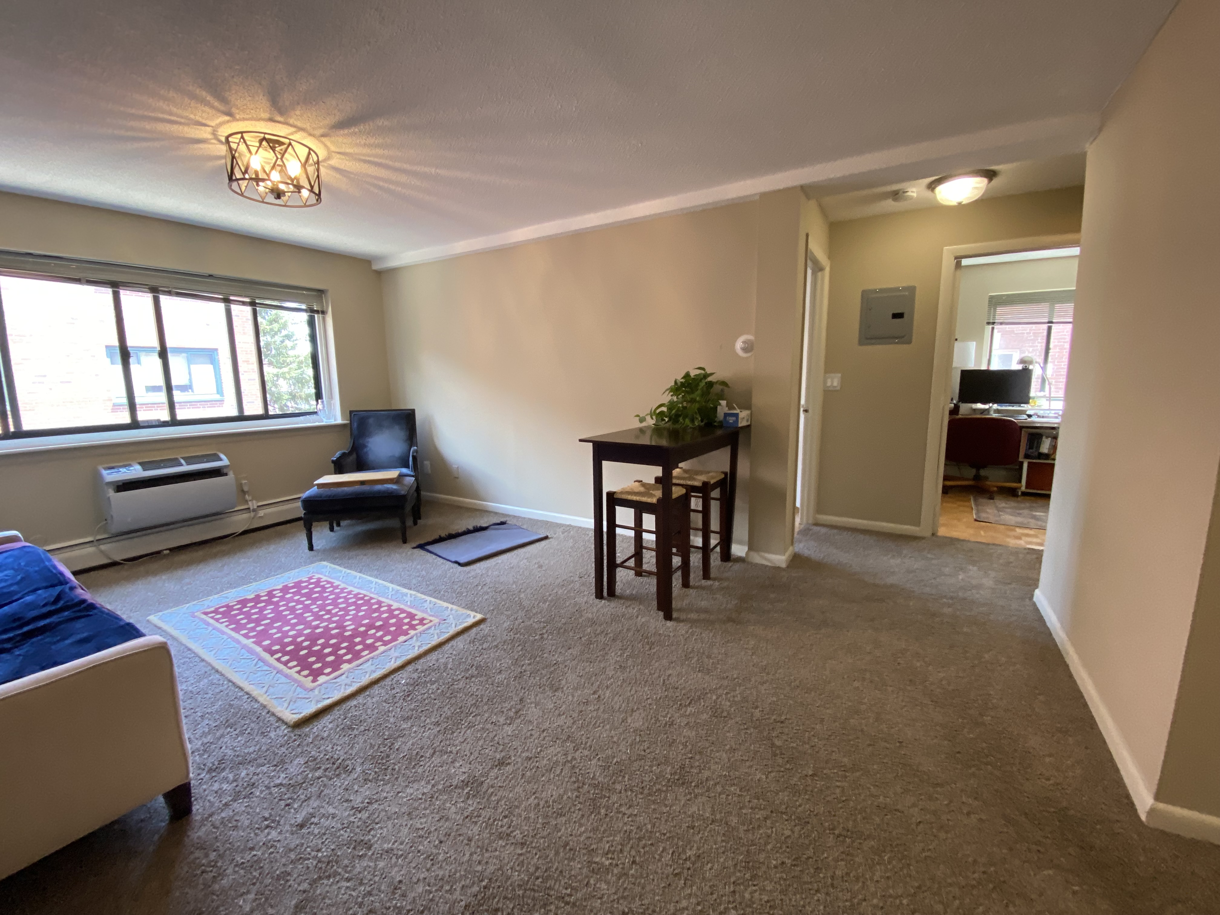 375 Harvard St, Harvard Square