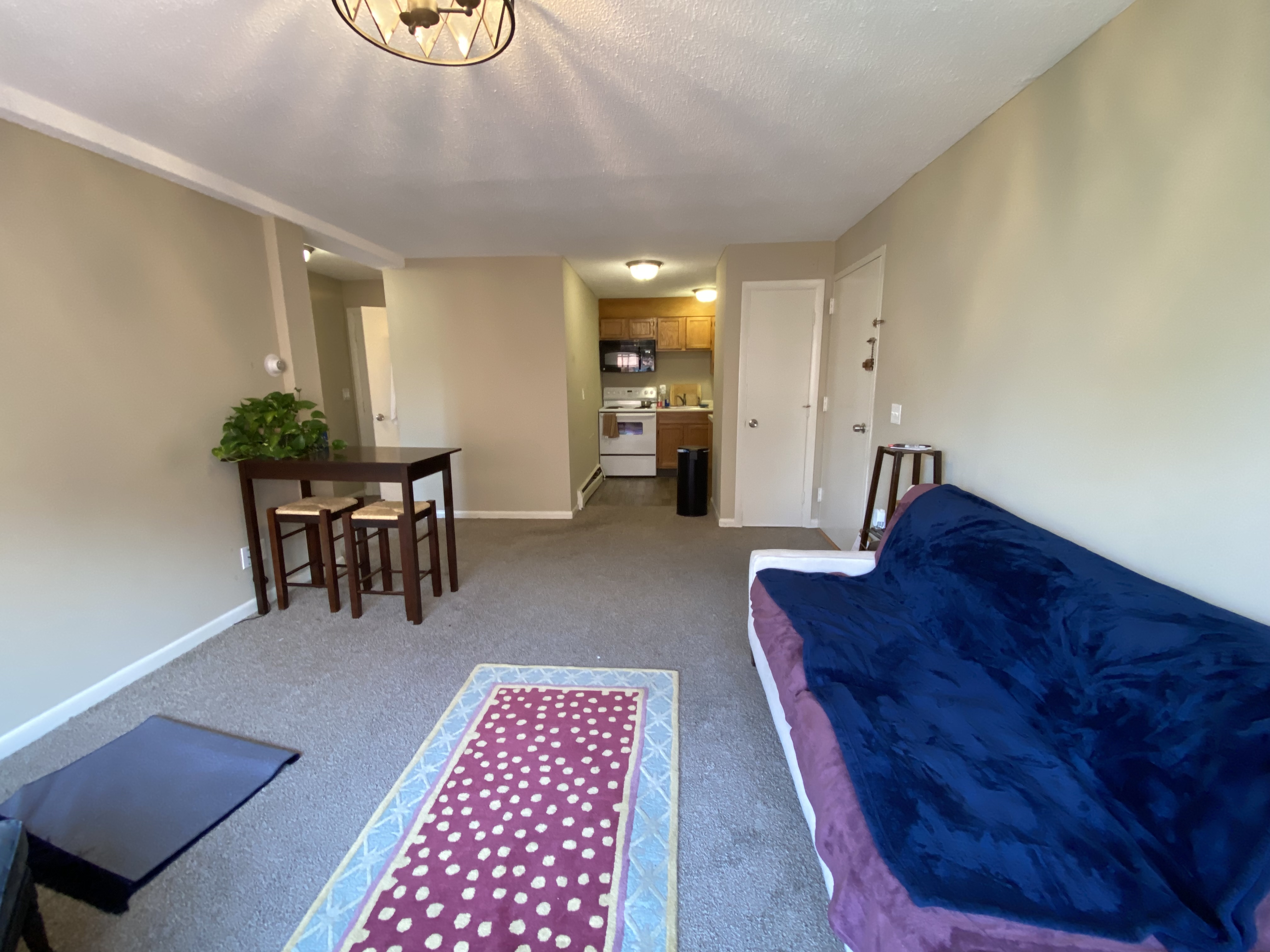 375 Harvard St, Harvard Square