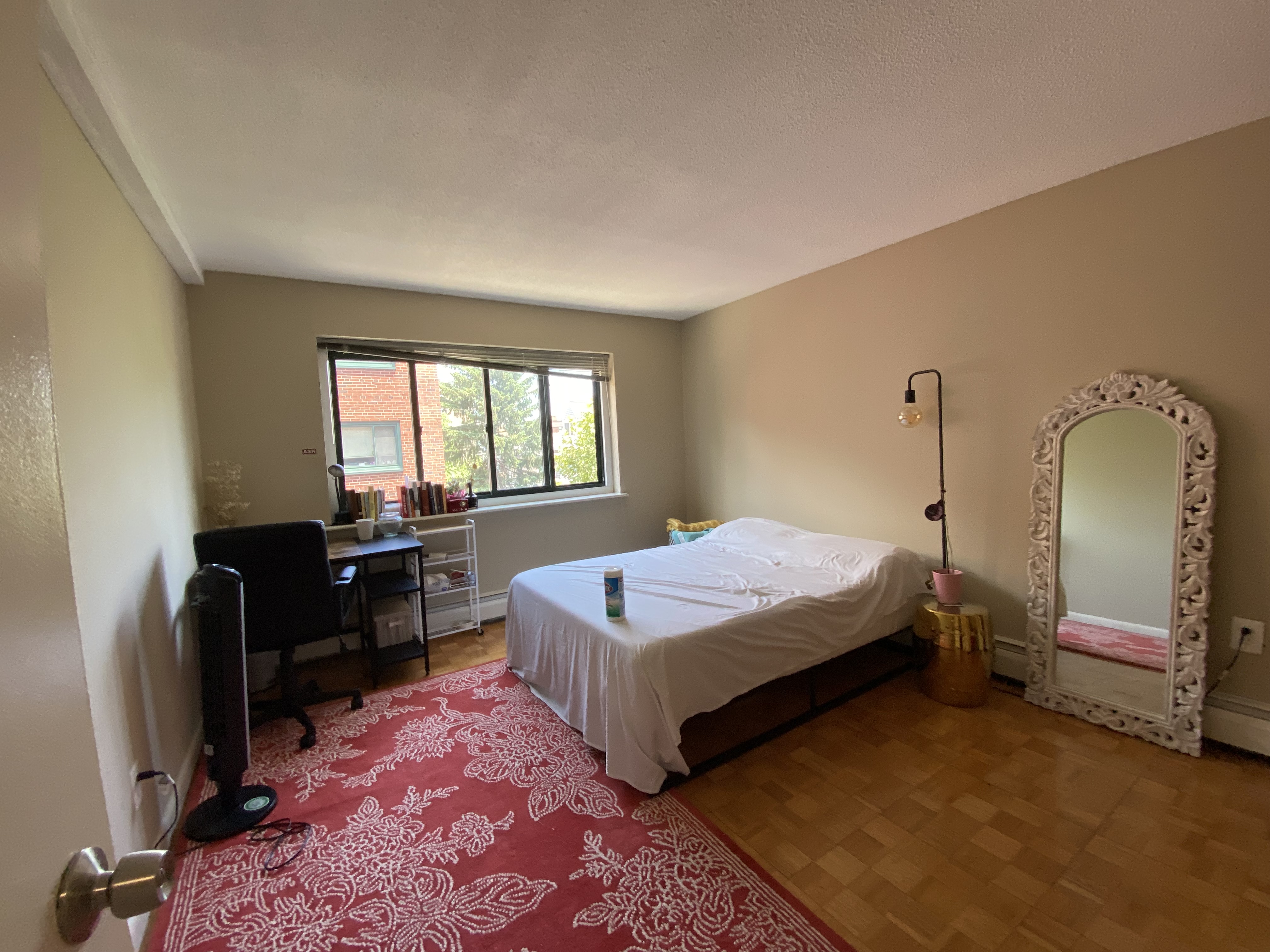 375 Harvard St, Harvard Square