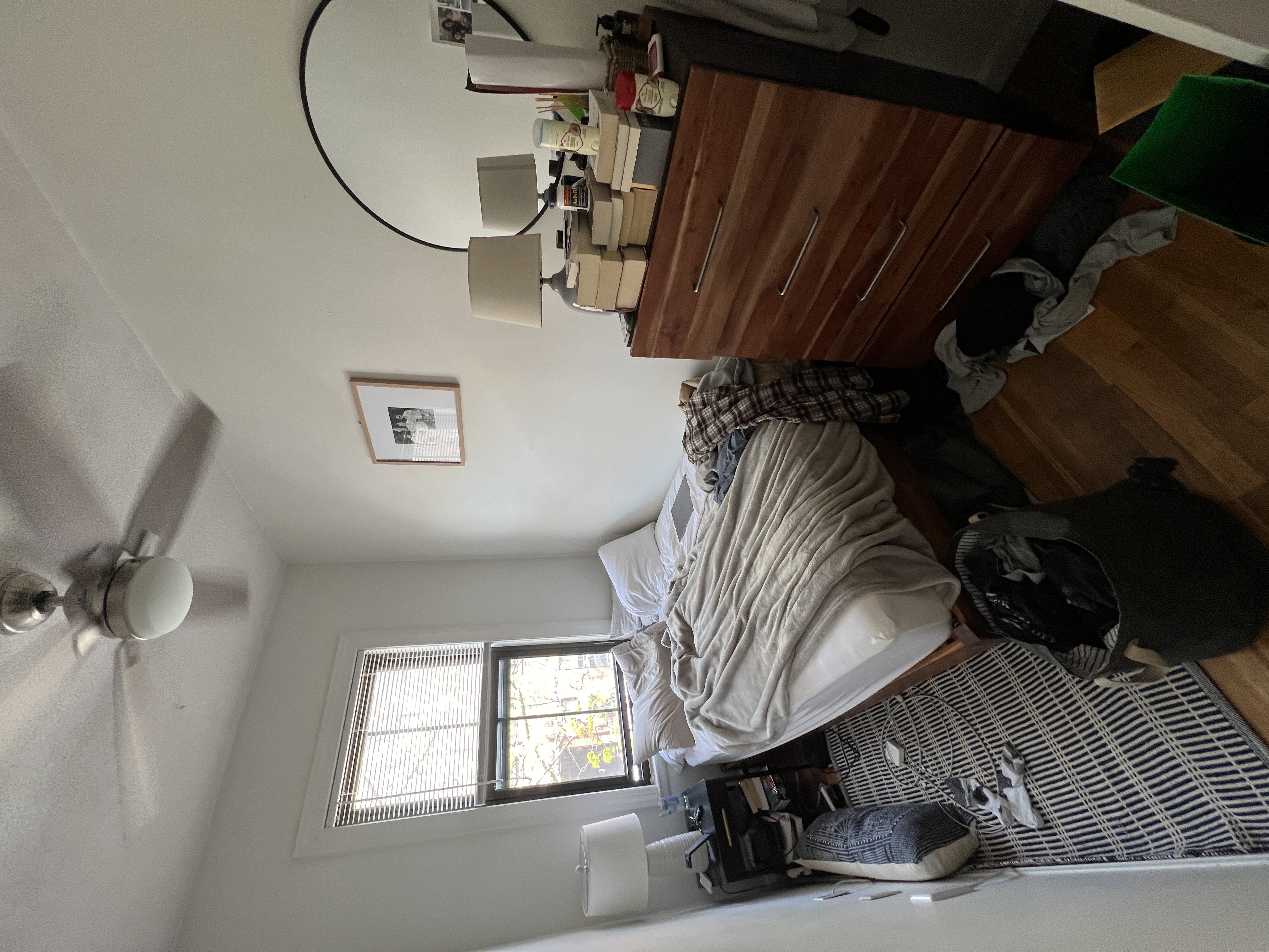 8 Milford St, South End