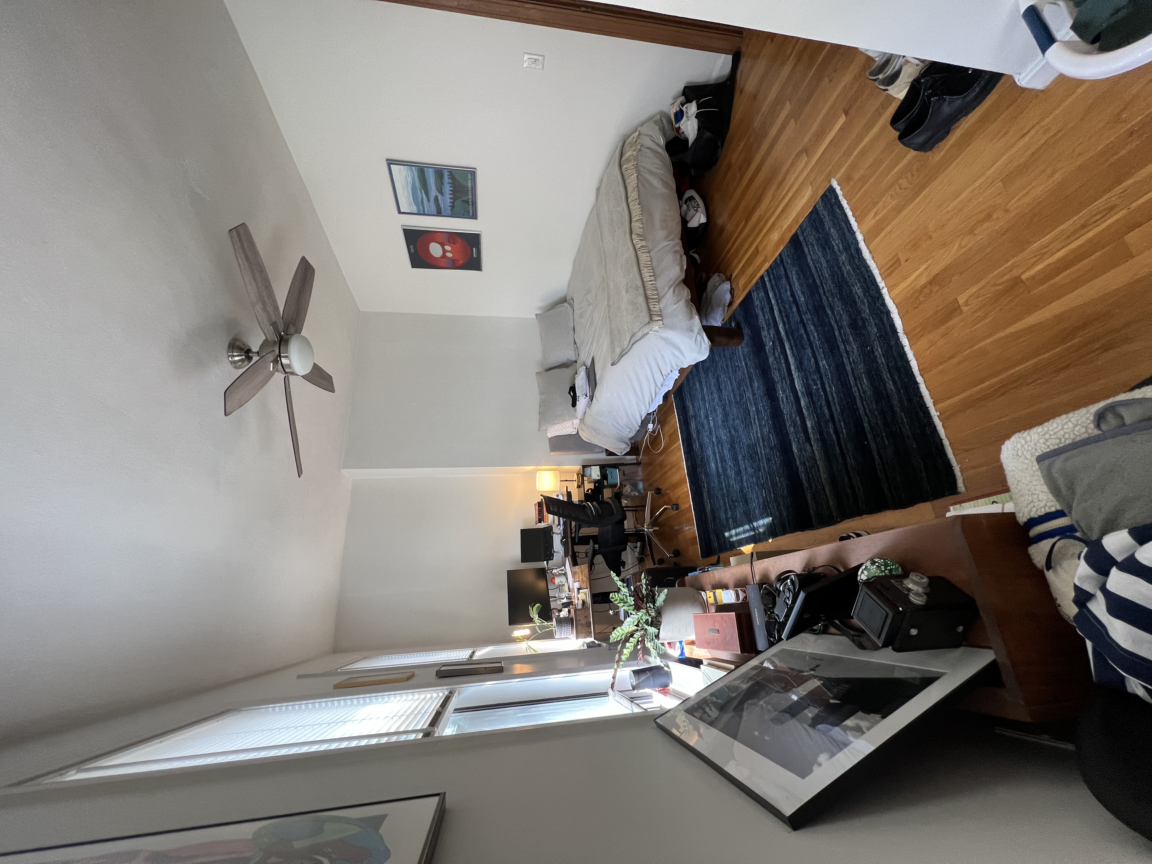 8 Milford St, South End