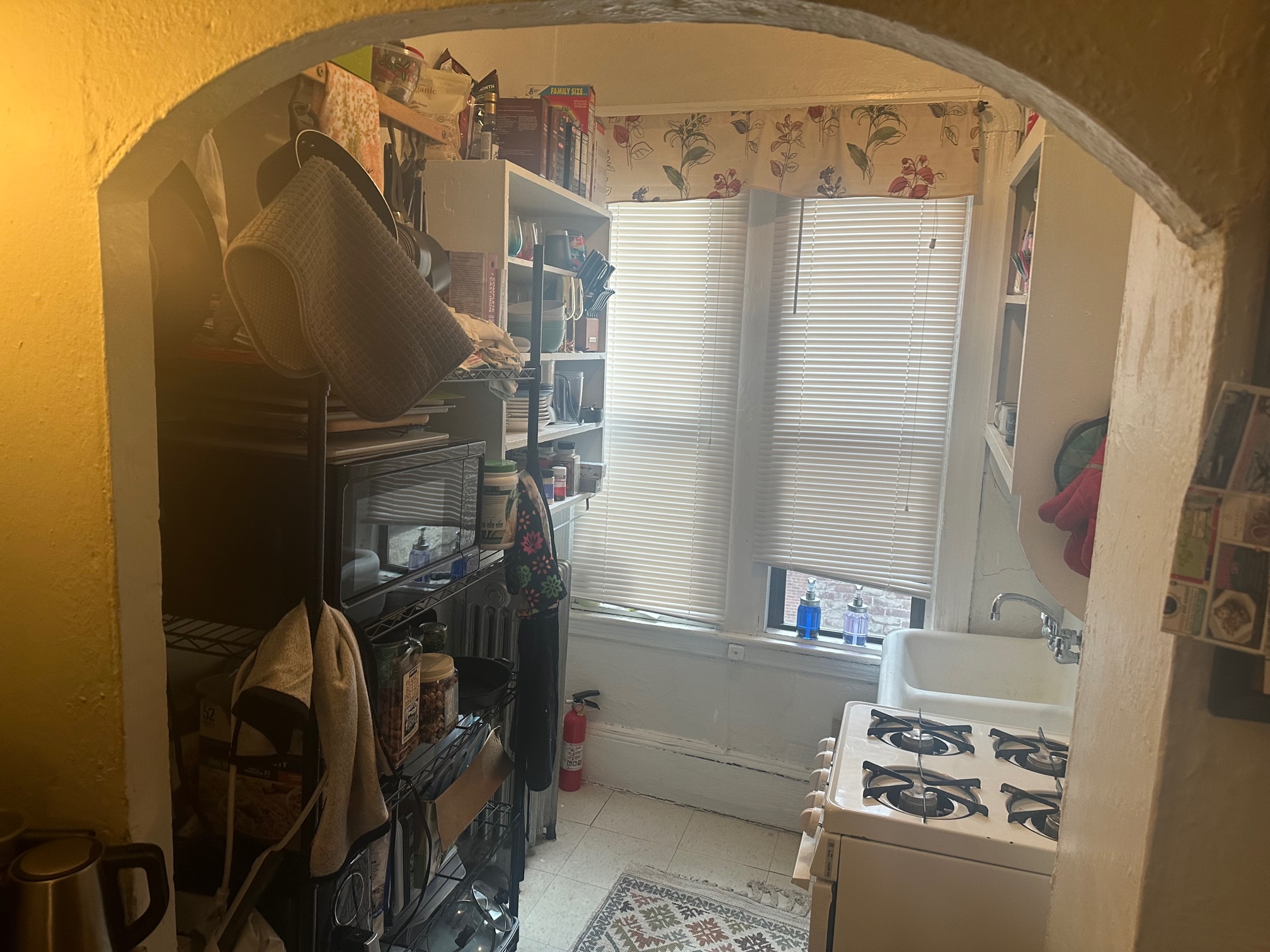 100 Myrtle St, Beacon Hill